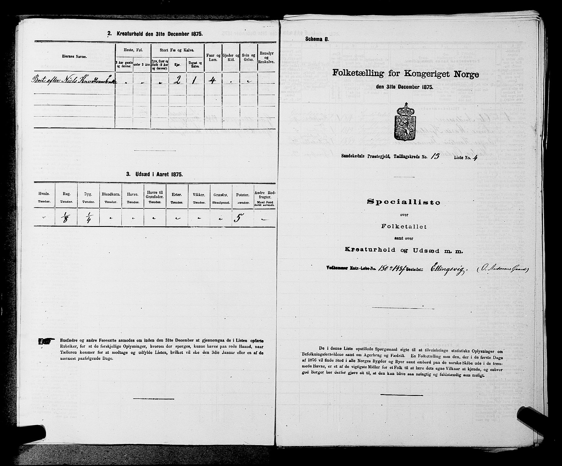 SAKO, 1875 census for 0816P Sannidal, 1875, p. 871