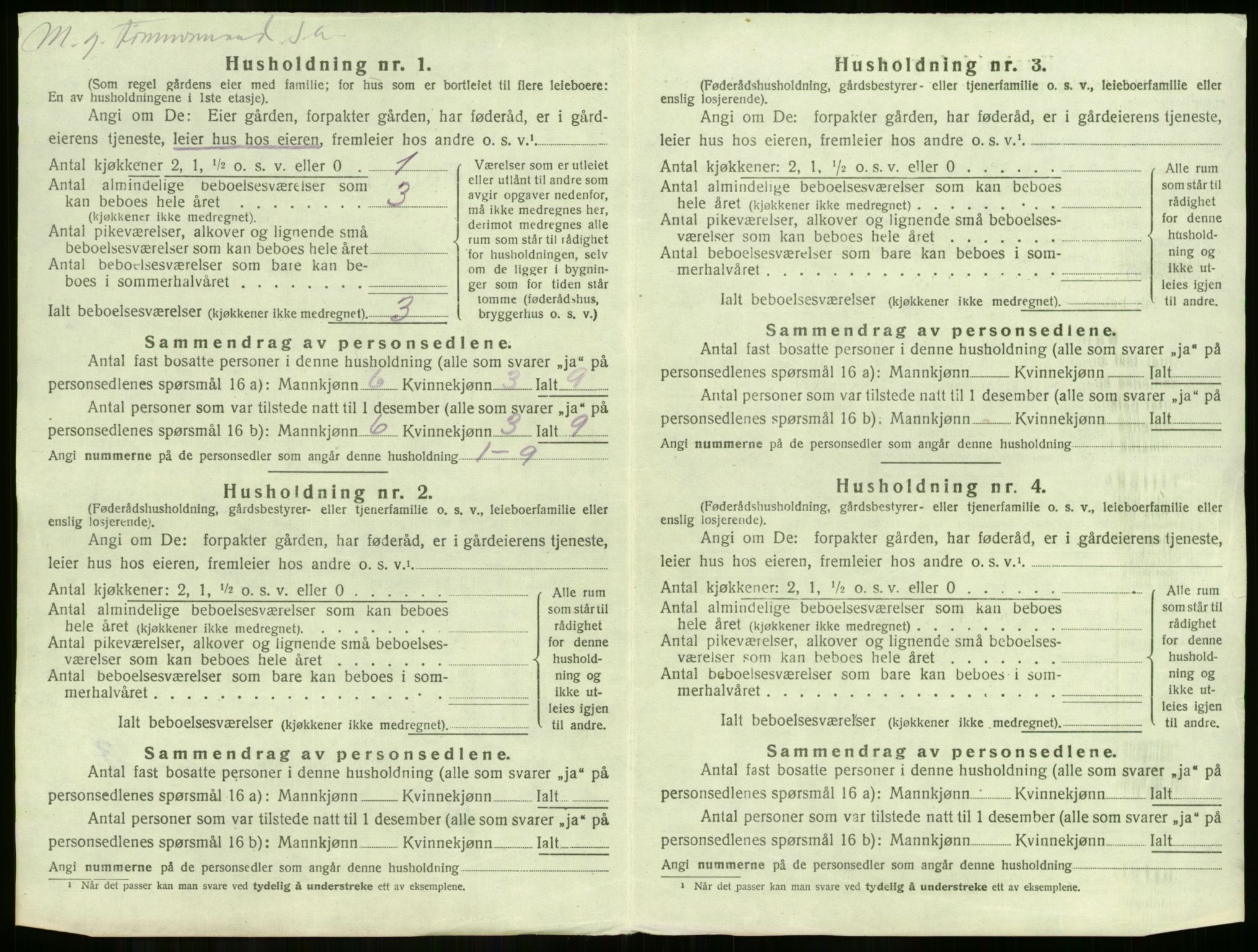 SAKO, 1920 census for Krødsherad, 1920, p. 31