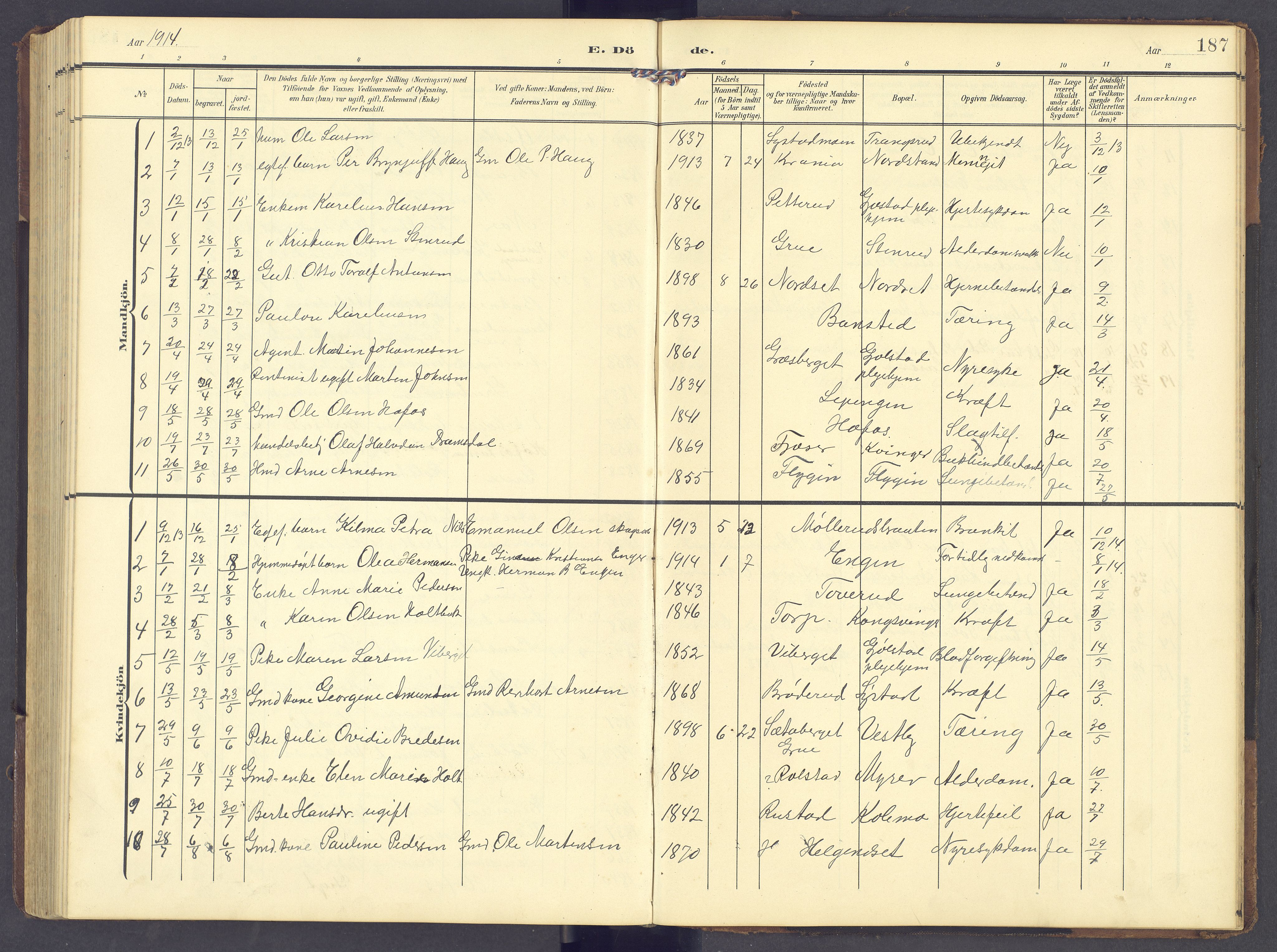 Brandval prestekontor, AV/SAH-PREST-034/H/Ha/Hab/L0003: Parish register (copy) no. 3, 1904-1917, p. 187