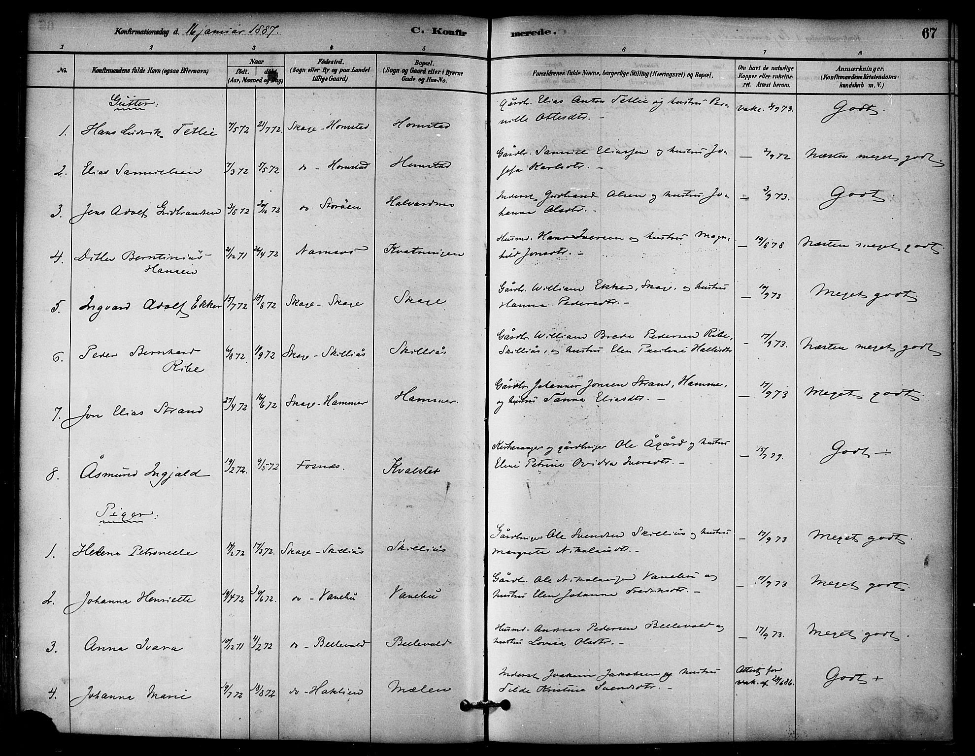 Ministerialprotokoller, klokkerbøker og fødselsregistre - Nord-Trøndelag, SAT/A-1458/766/L0563: Parish register (official) no. 767A01, 1881-1899, p. 67