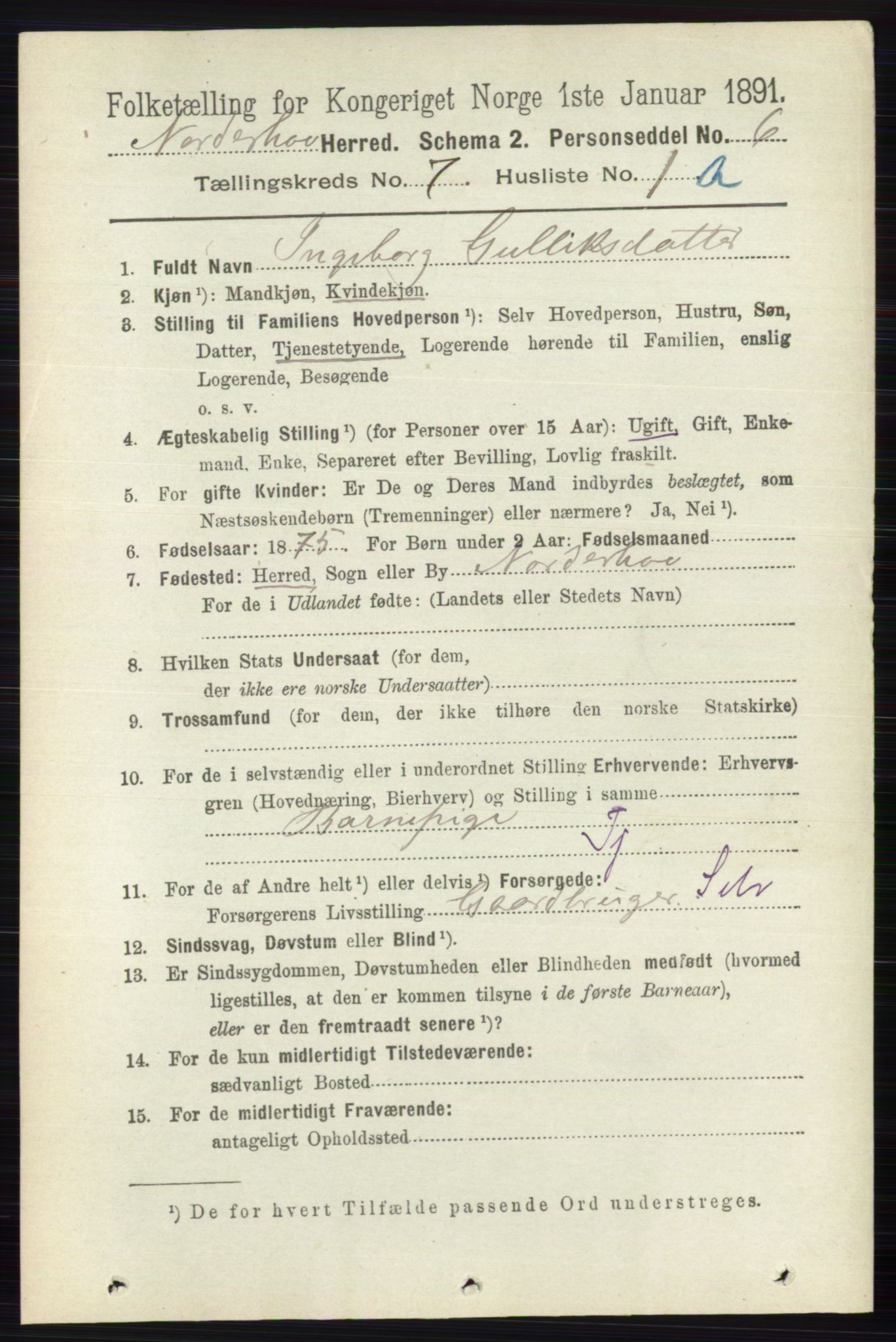 RA, 1891 census for 0613 Norderhov, 1891, p. 4494