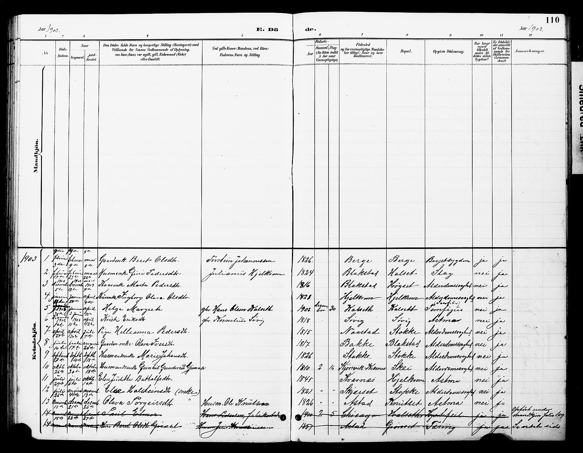 Ministerialprotokoller, klokkerbøker og fødselsregistre - Møre og Romsdal, AV/SAT-A-1454/585/L0973: Parish register (copy) no. 585C01, 1893-1930, p. 110