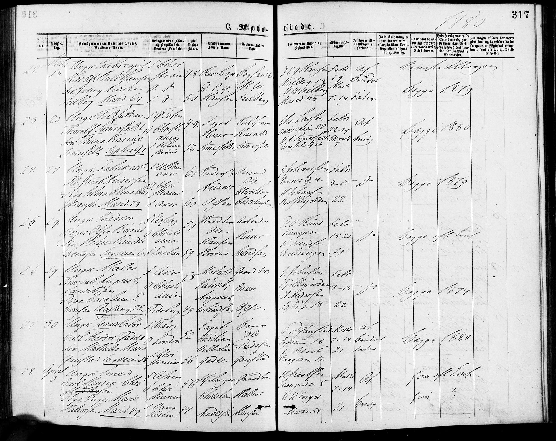 Gamle Aker prestekontor Kirkebøker, AV/SAO-A-10617a/F/L0005: Parish register (official) no. 5, 1873-1881, p. 317