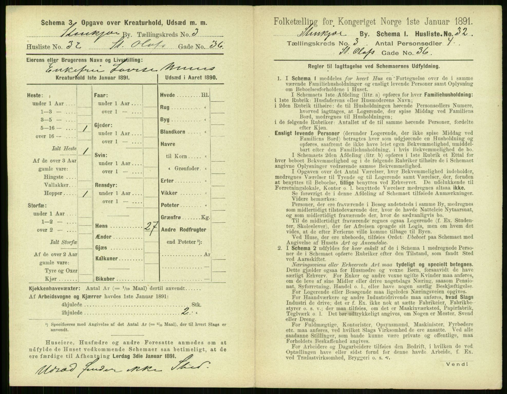 RA, 1891 census for 1702 Steinkjer, 1891, p. 823