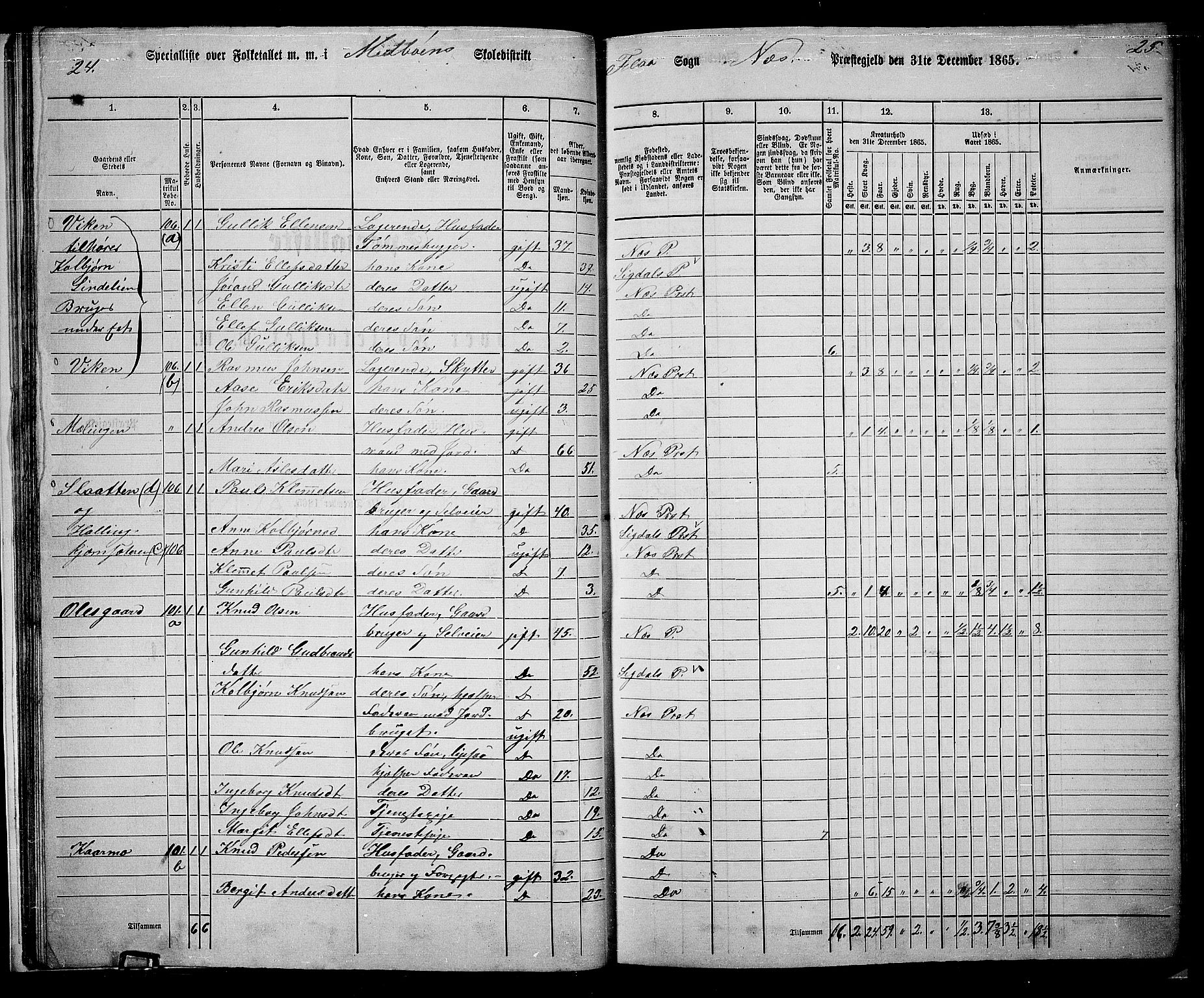 RA, 1865 census for Nes, 1865, p. 30