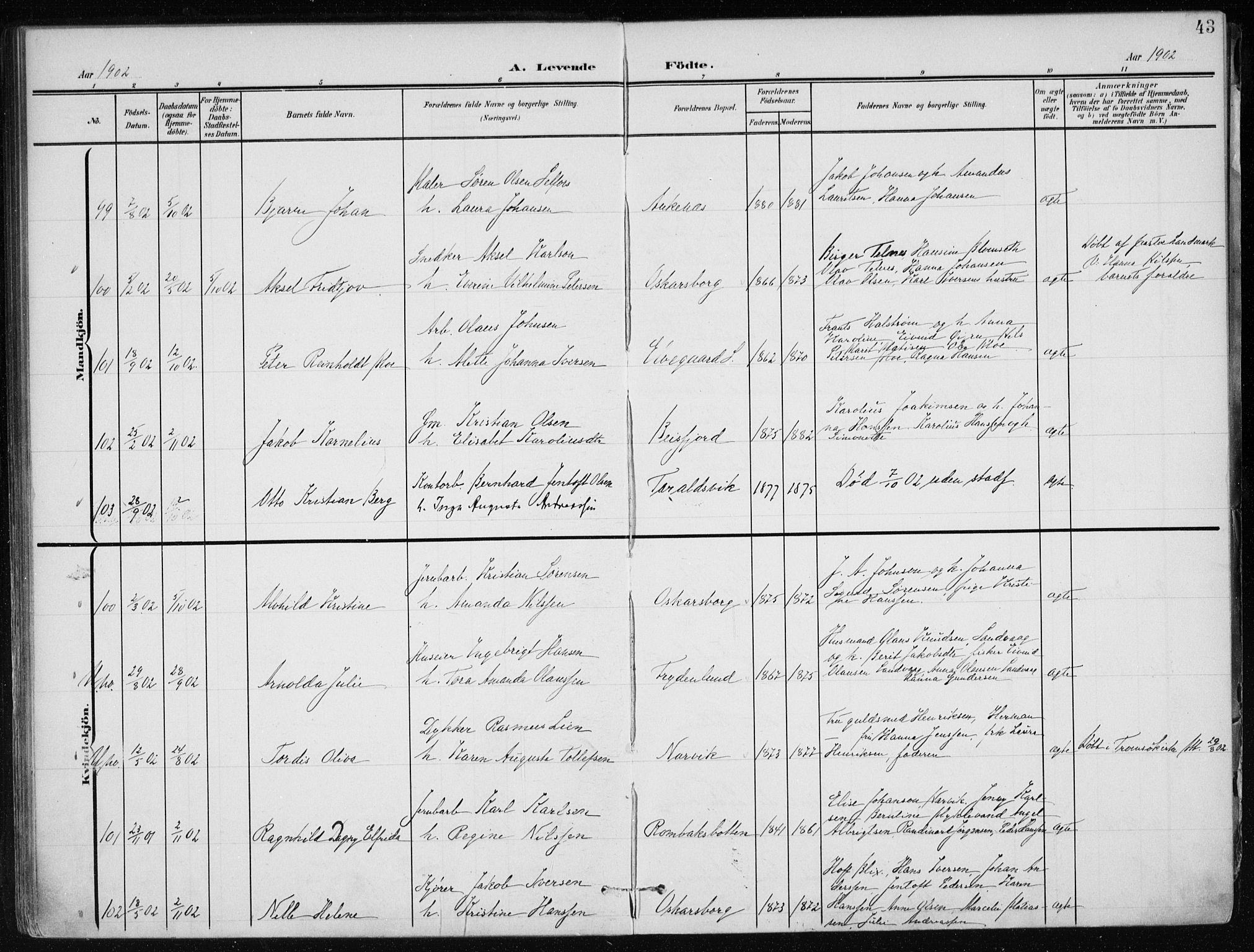 Ministerialprotokoller, klokkerbøker og fødselsregistre - Nordland, AV/SAT-A-1459/866/L0941: Parish register (official) no. 866A04, 1901-1917, p. 43