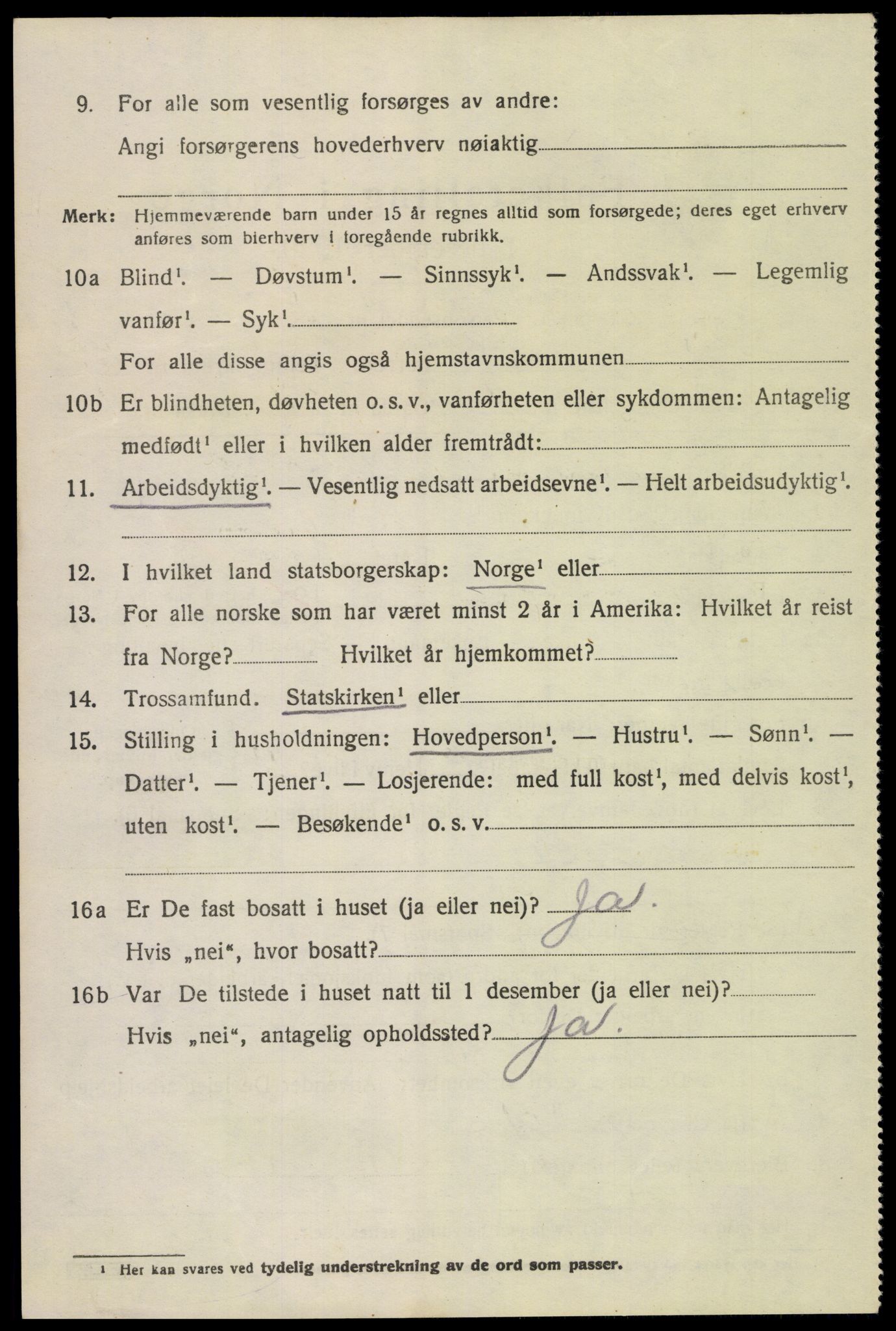 SAH, 1920 census for Dovre, 1920, p. 4543