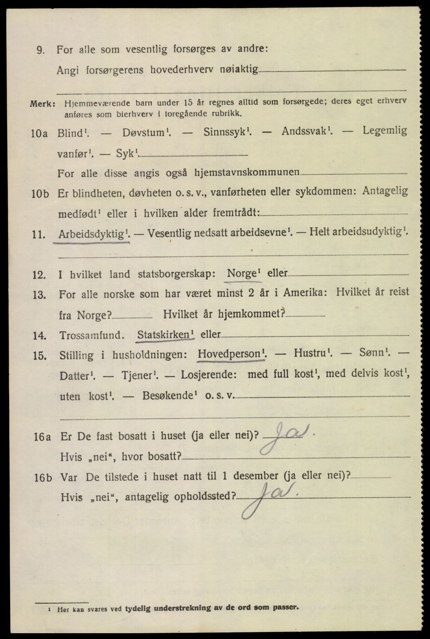 SAH, 1920 census for Dovre, 1920, p. 4543