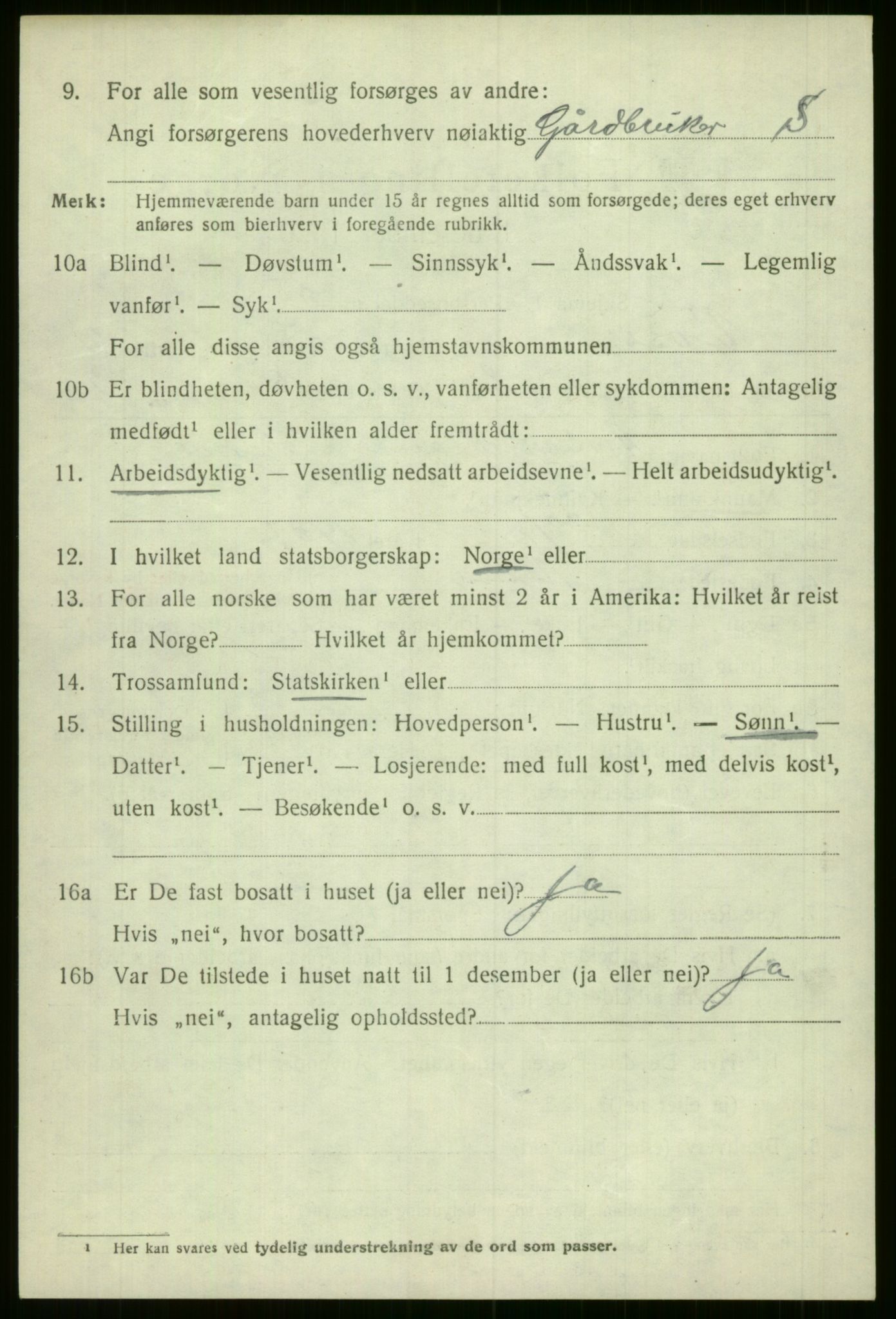 SAB, 1920 census for Voss, 1920, p. 3554