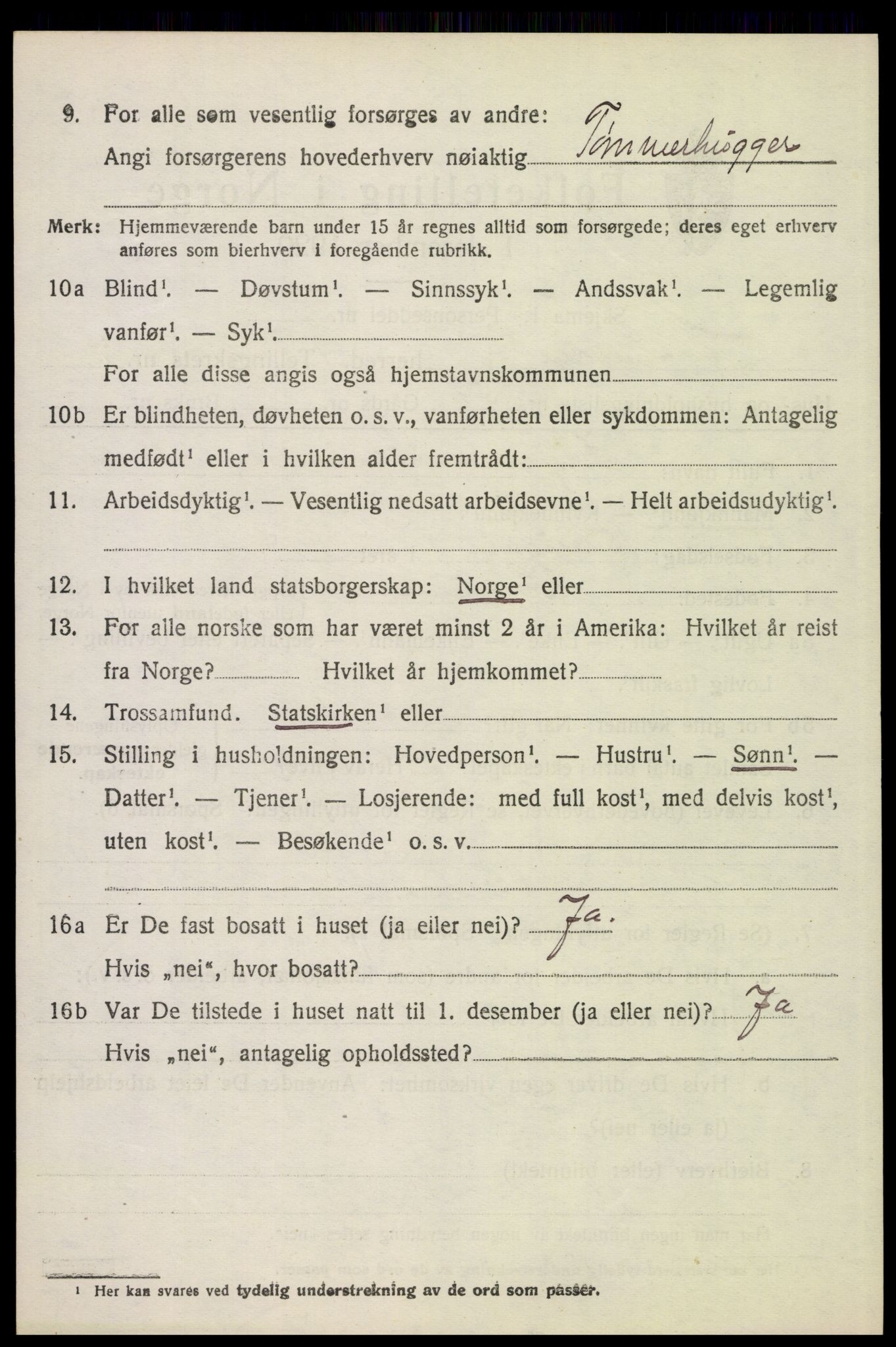 SAH, 1920 census for Stor-Elvdal, 1920, p. 4067