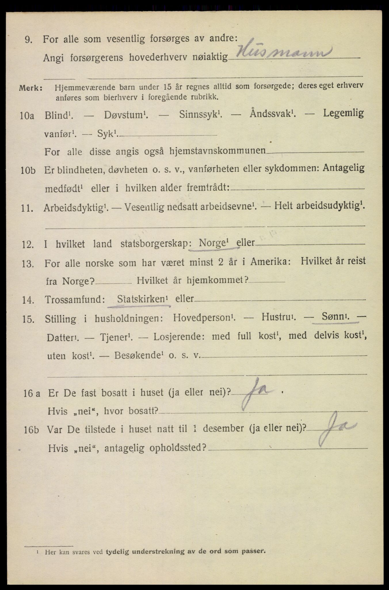 SAH, 1920 census for Furnes, 1920, p. 5156