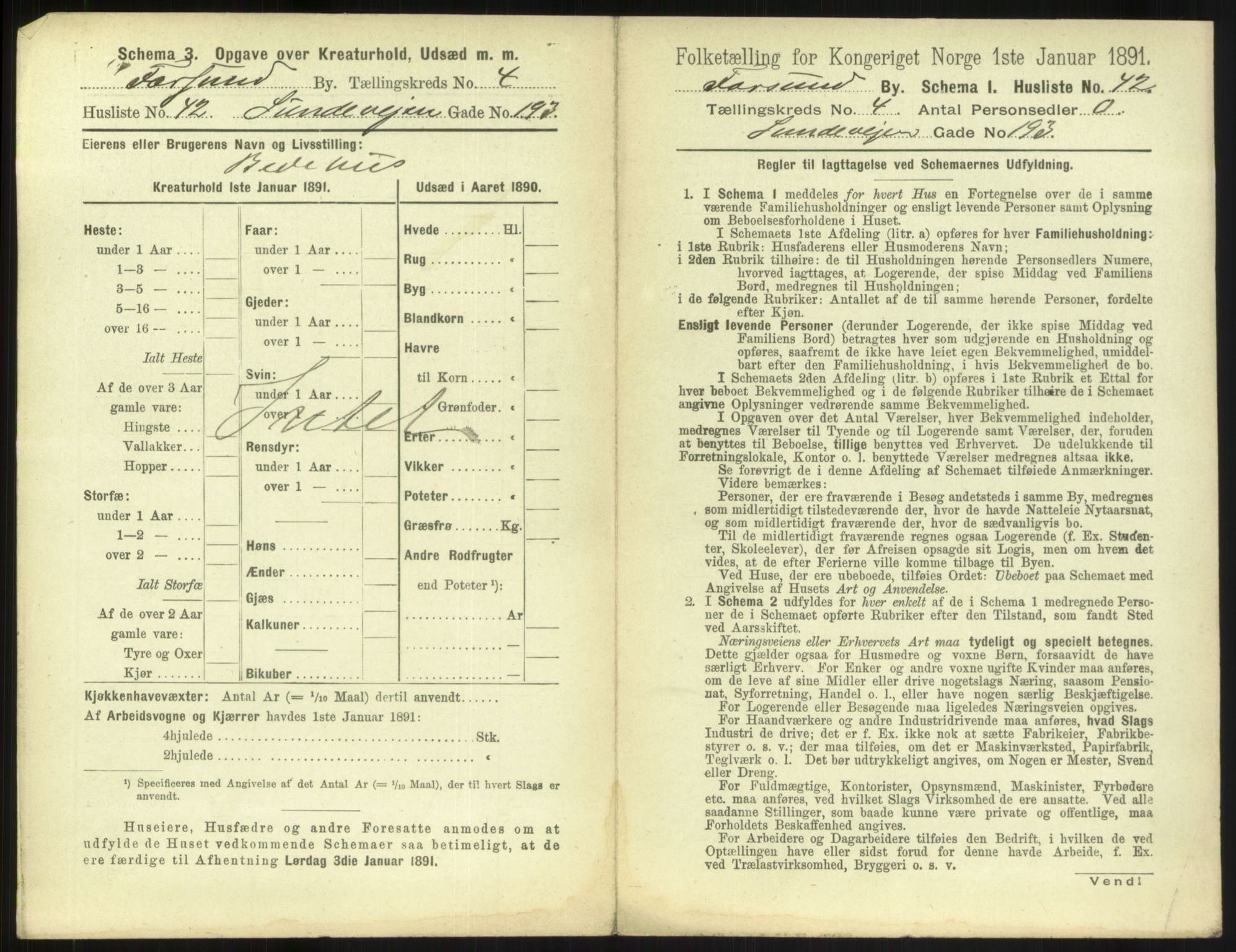 RA, 1891 census for 1003 Farsund, 1891, p. 410