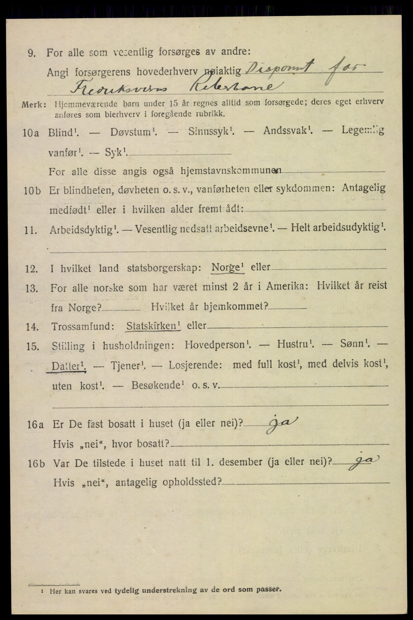SAKO, 1920 census for Fredriksvern, 1920, p. 990