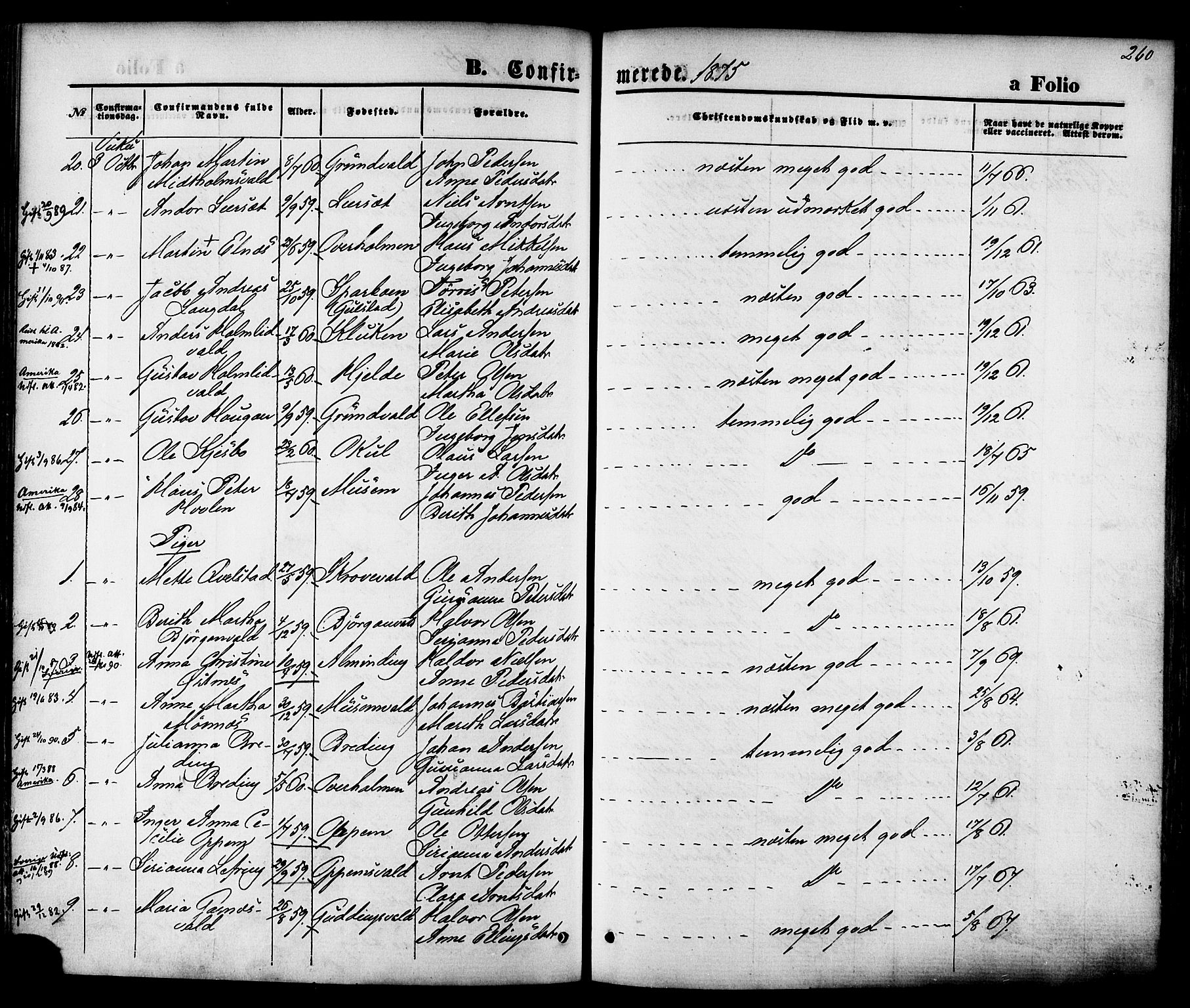 Ministerialprotokoller, klokkerbøker og fødselsregistre - Nord-Trøndelag, AV/SAT-A-1458/723/L0242: Parish register (official) no. 723A11, 1870-1880, p. 260