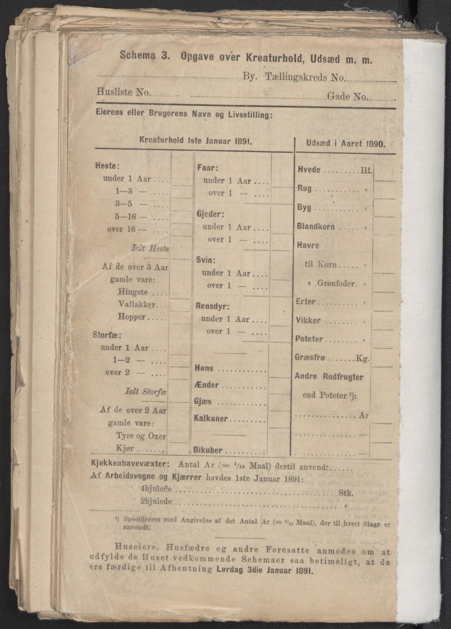 RA, 1891 Census for 1301 Bergen, 1891, p. 6737