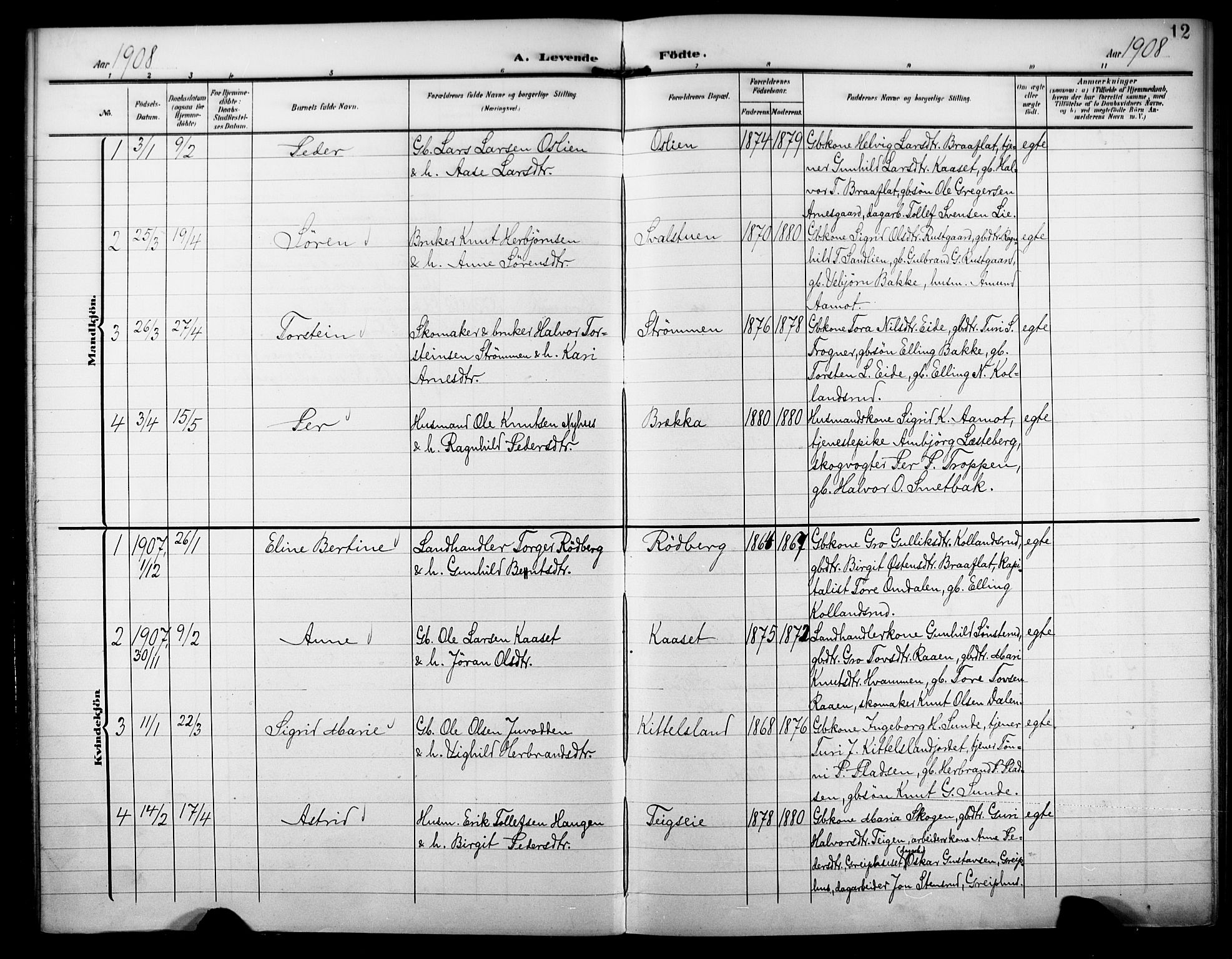 Nore kirkebøker, AV/SAKO-A-238/F/Fb/L0003: Parish register (official) no. II 3, 1906-1926, p. 12