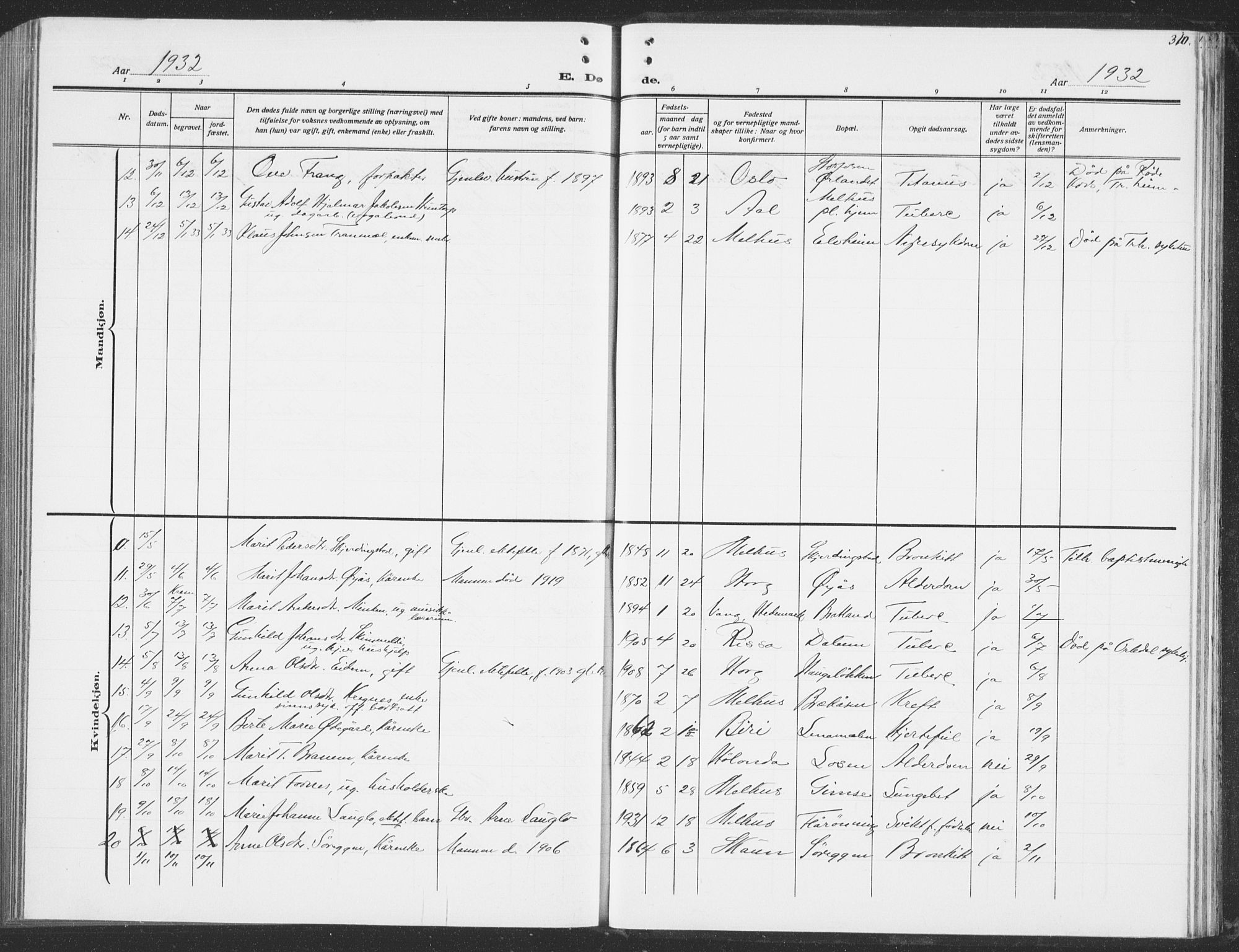 Ministerialprotokoller, klokkerbøker og fødselsregistre - Sør-Trøndelag, AV/SAT-A-1456/691/L1095: Parish register (copy) no. 691C06, 1912-1933, p. 310