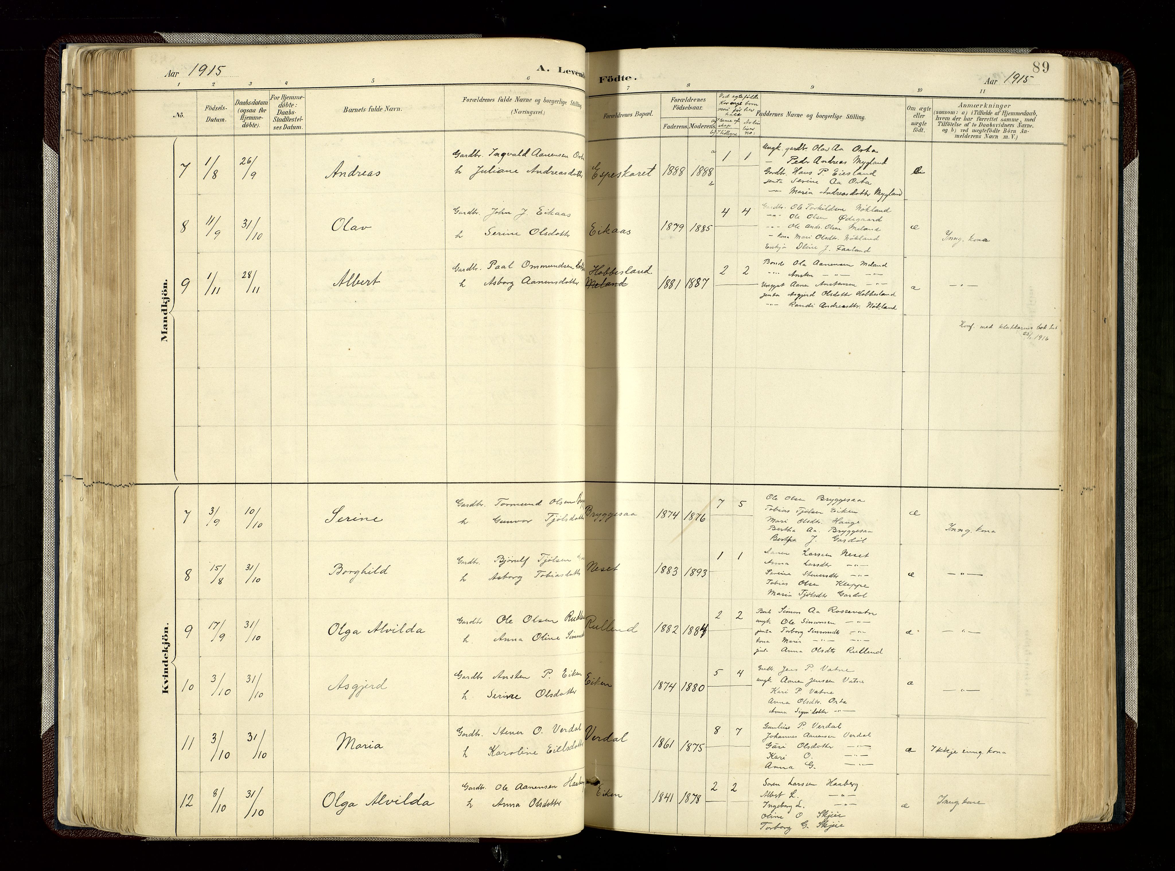 Hægebostad sokneprestkontor, SAK/1111-0024/F/Fa/Fab/L0004: Parish register (official) no. A 4, 1887-1929, p. 89