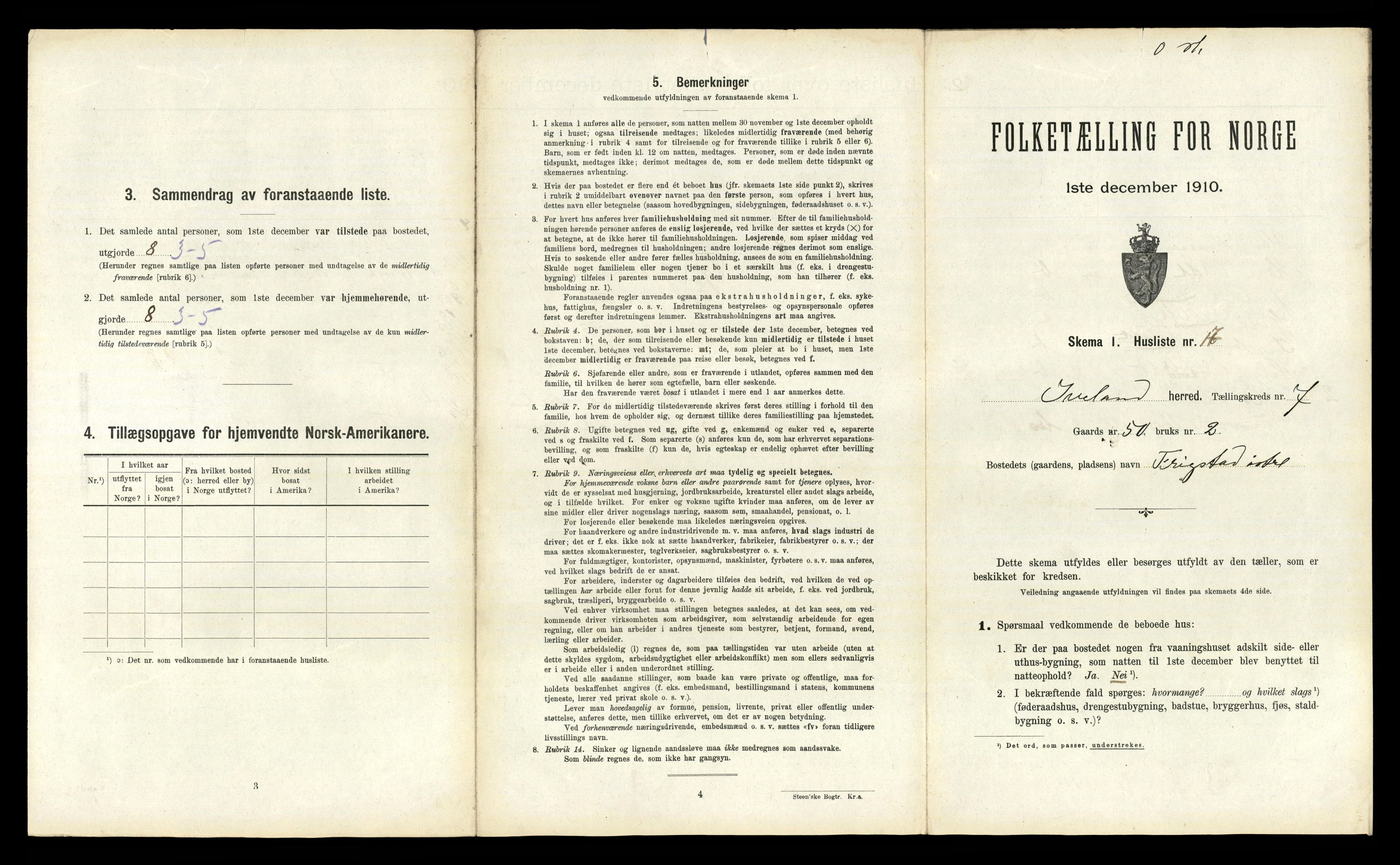 RA, 1910 census for Iveland, 1910, p. 339