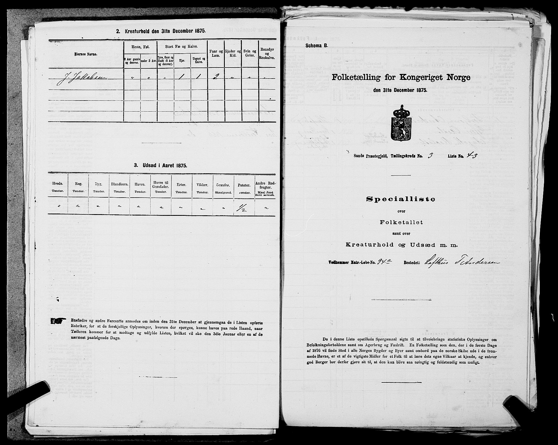 SAST, 1875 census for 1136P Sand, 1875, p. 1095