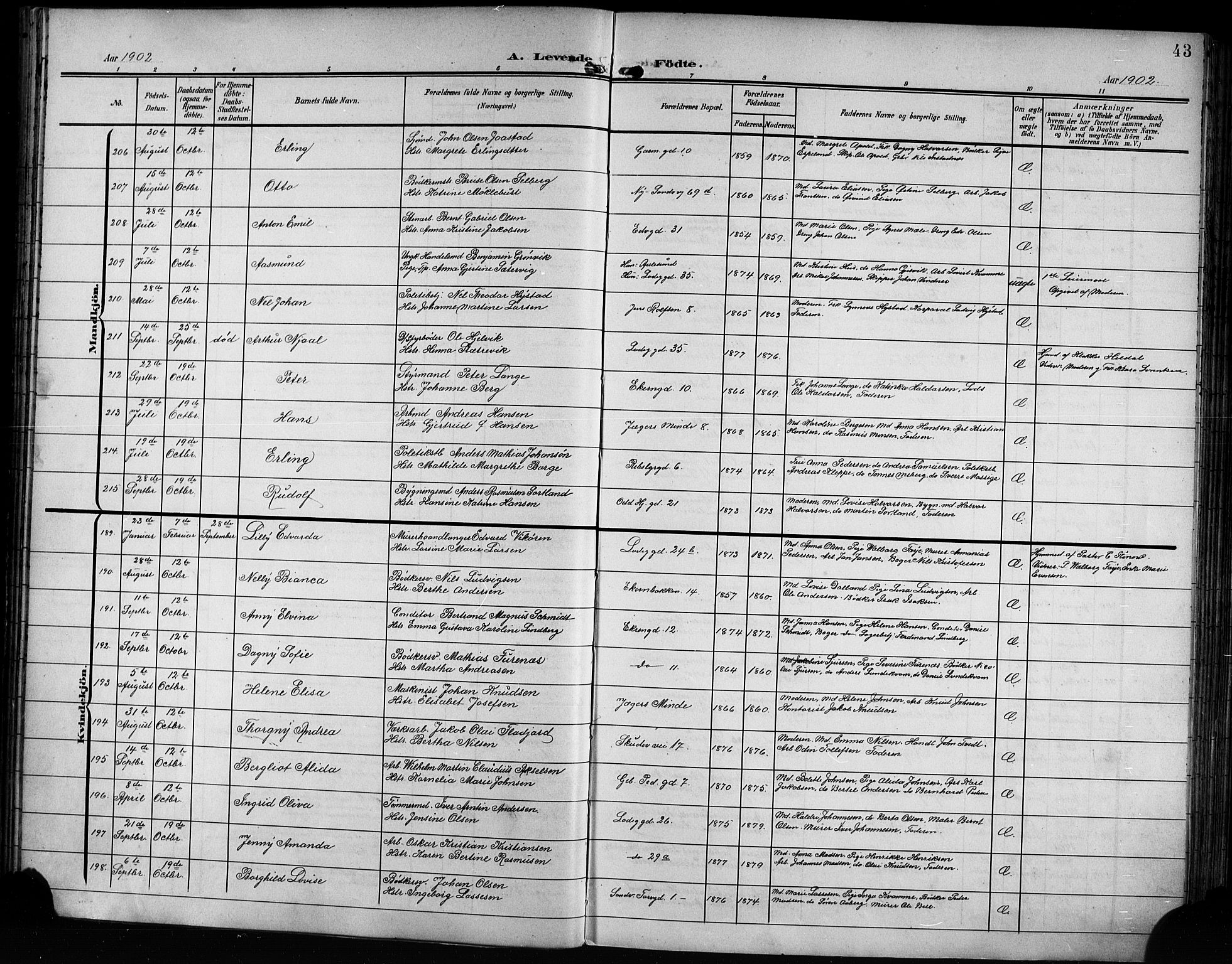 Sandviken Sokneprestembete, AV/SAB-A-77601/H/Hb/L0004: Parish register (copy) no. B 1, 1901-1914, p. 43