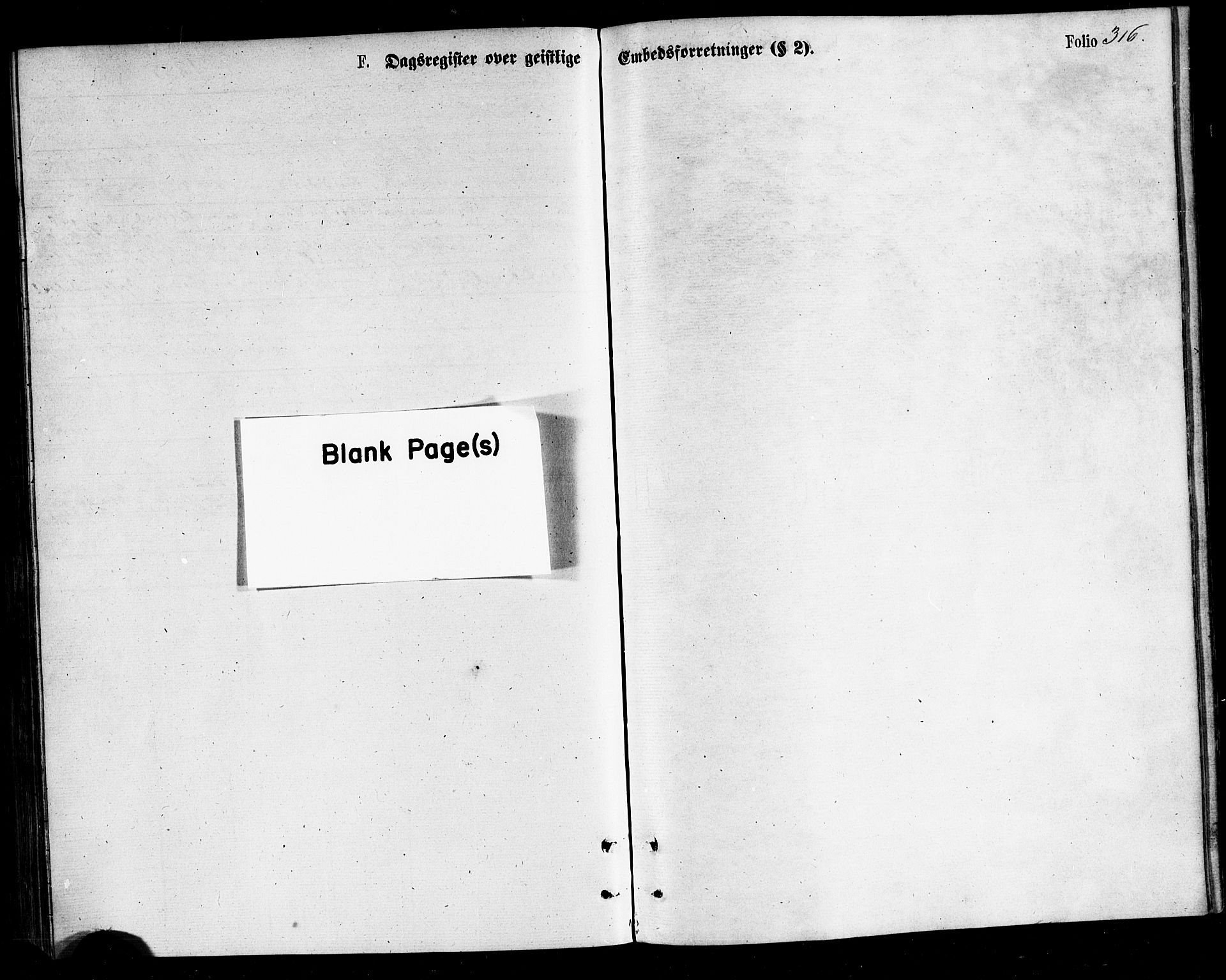 Ministerialprotokoller, klokkerbøker og fødselsregistre - Nordland, AV/SAT-A-1459/812/L0177: Parish register (official) no. 812A06, 1875-1885, p. 316