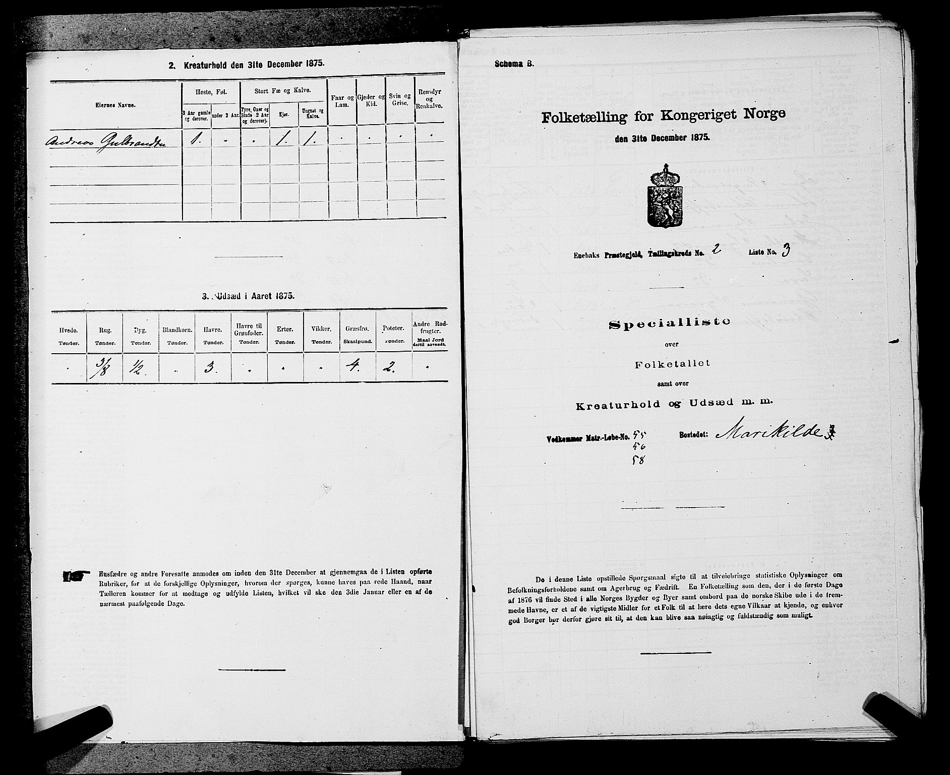 RA, 1875 census for 0229P Enebakk, 1875, p. 271