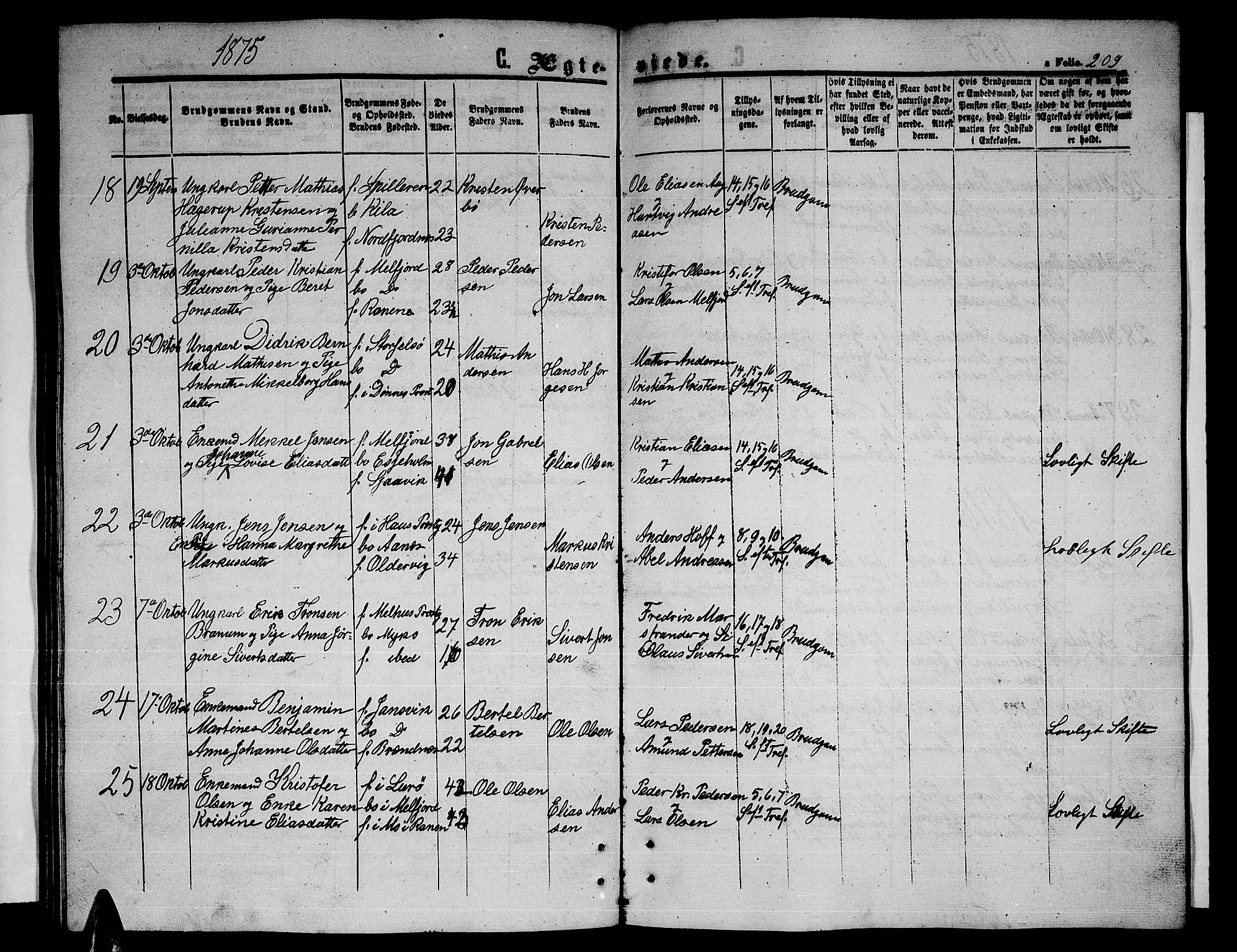 Ministerialprotokoller, klokkerbøker og fødselsregistre - Nordland, AV/SAT-A-1459/841/L0619: Parish register (copy) no. 841C03, 1856-1876, p. 209