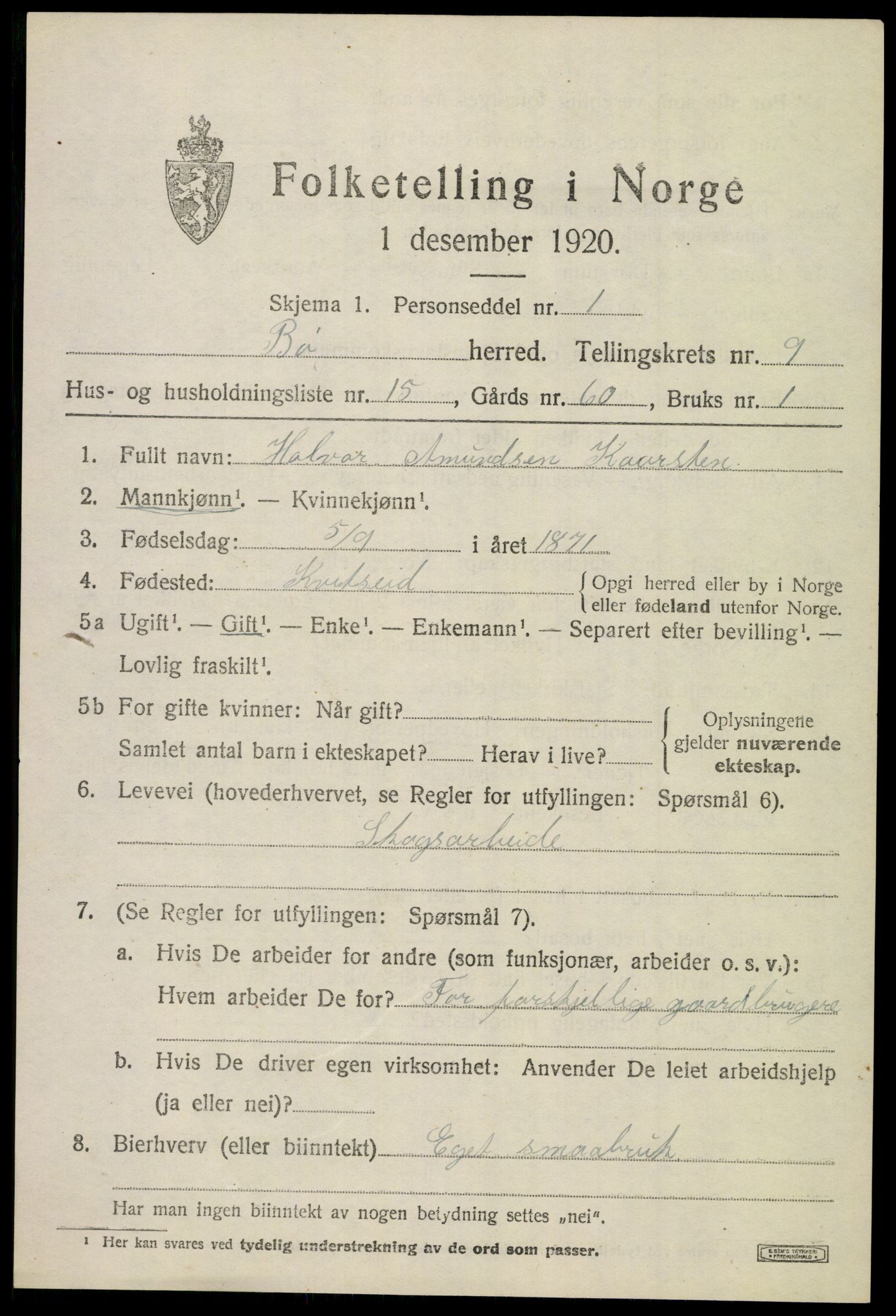 SAKO, 1920 census for Bø (Telemark), 1920, p. 6560