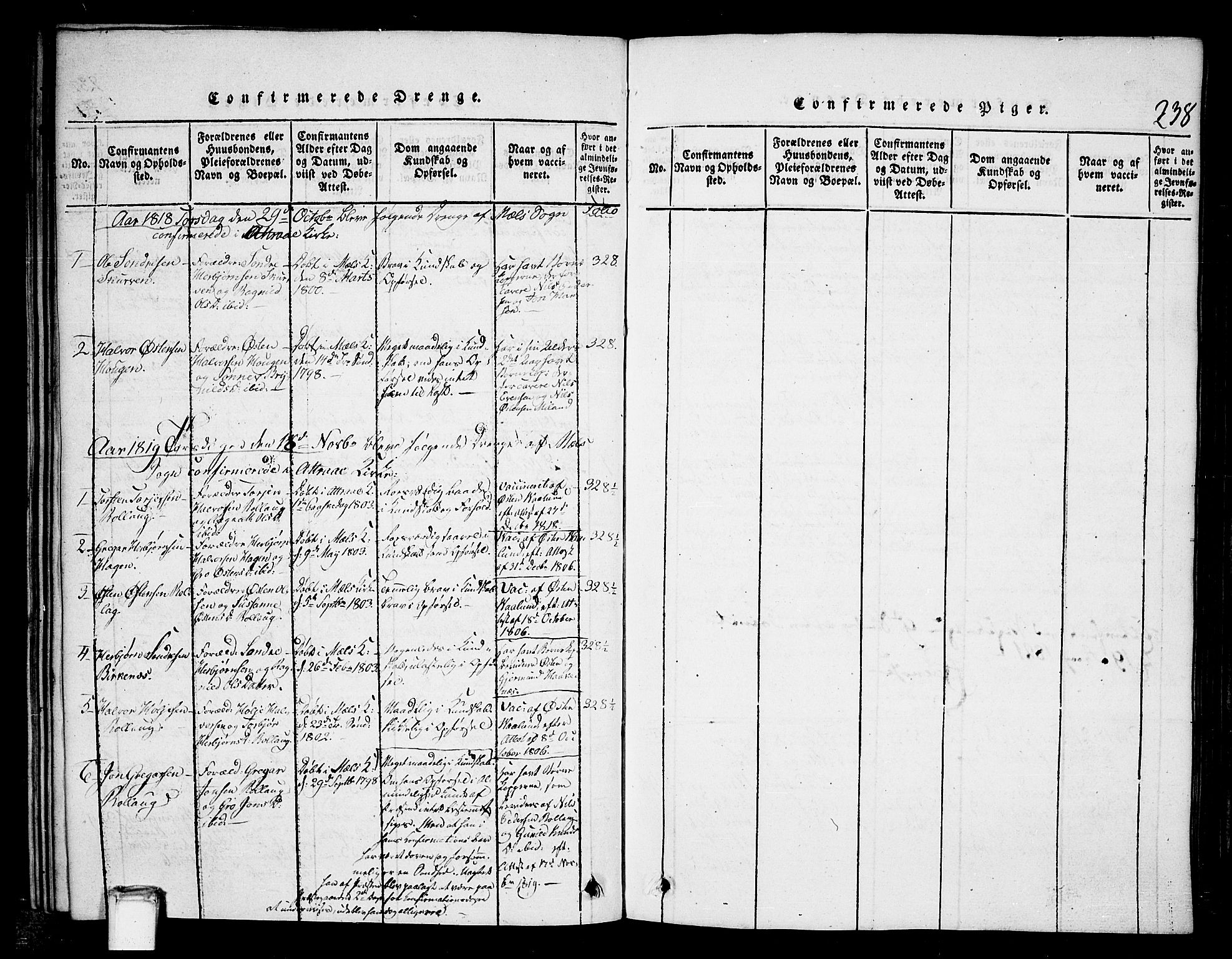 Tinn kirkebøker, SAKO/A-308/G/Gb/L0001: Parish register (copy) no. II 1 /1, 1815-1850, p. 238