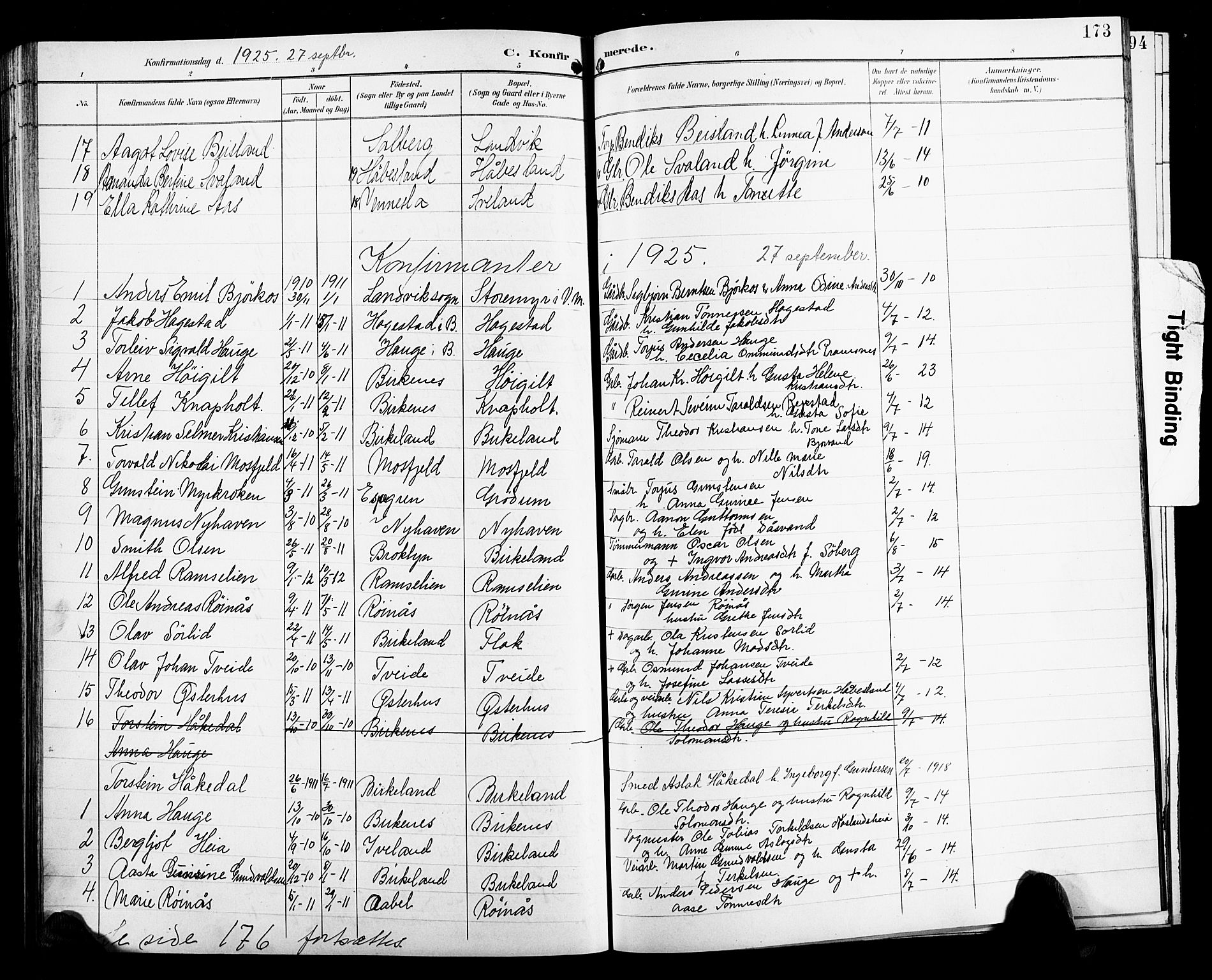 Birkenes sokneprestkontor, SAK/1111-0004/F/Fb/L0004: Parish register (copy) no. B 4, 1893-1930, p. 173