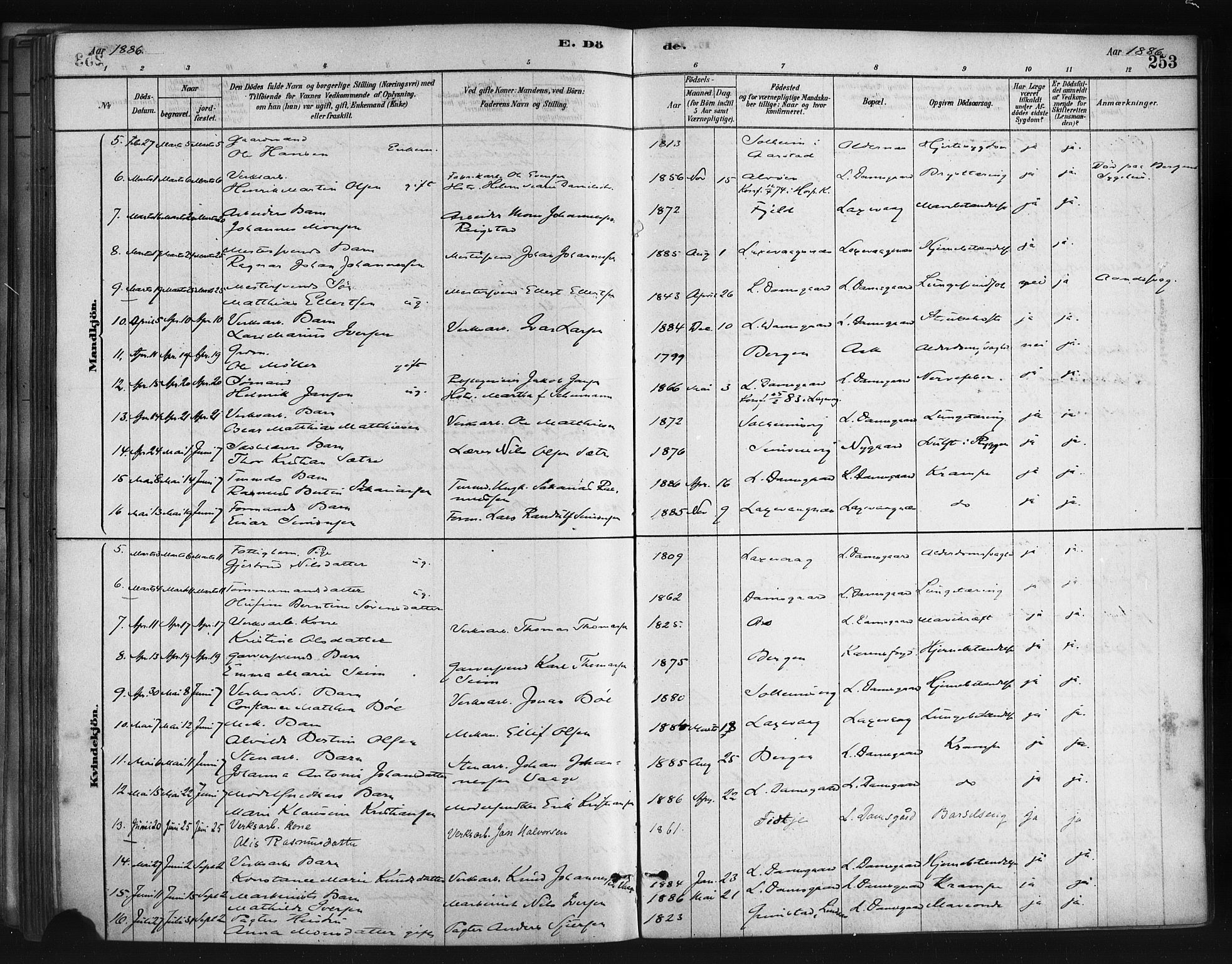 Askøy Sokneprestembete, SAB/A-74101/H/Ha/Haa/Haae/L0002: Parish register (official) no. E 2, 1878-1891, p. 253
