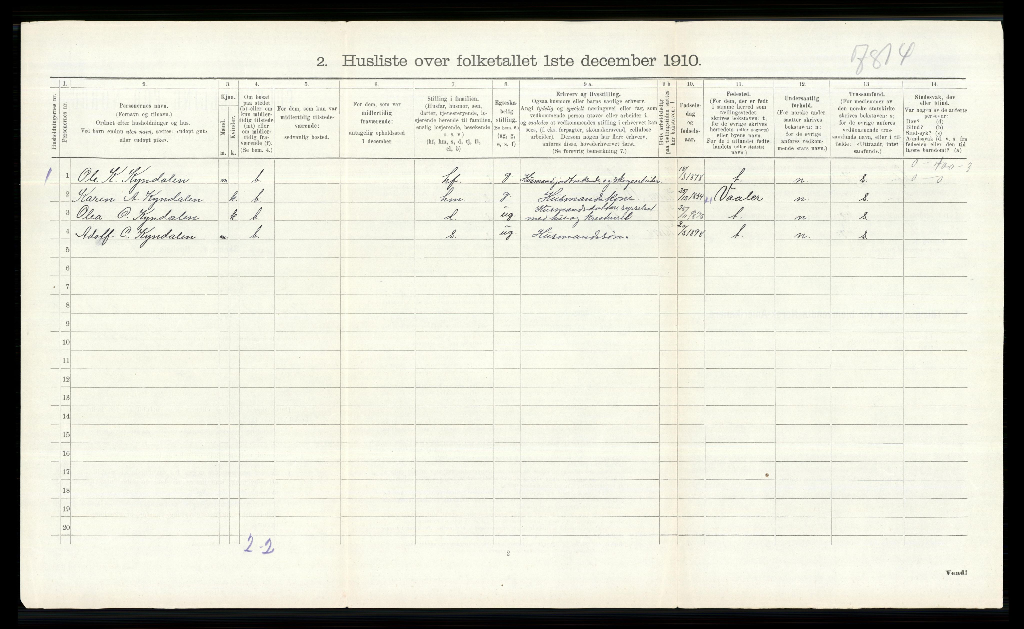 RA, 1910 census for Åsnes, 1910, p. 253