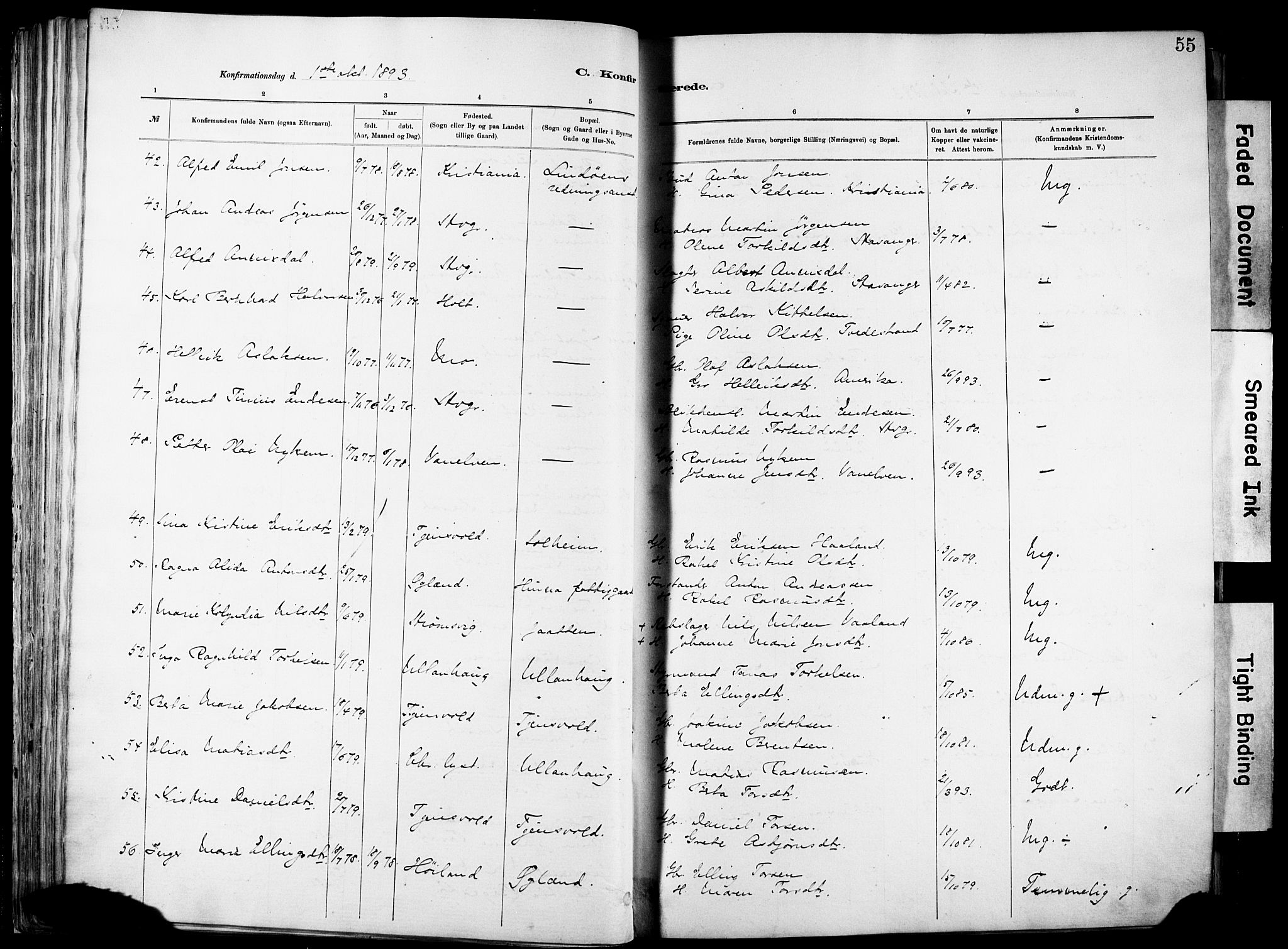 Hetland sokneprestkontor, SAST/A-101826/30/30BA/L0012: Parish register (official) no. A 12, 1882-1912, p. 55
