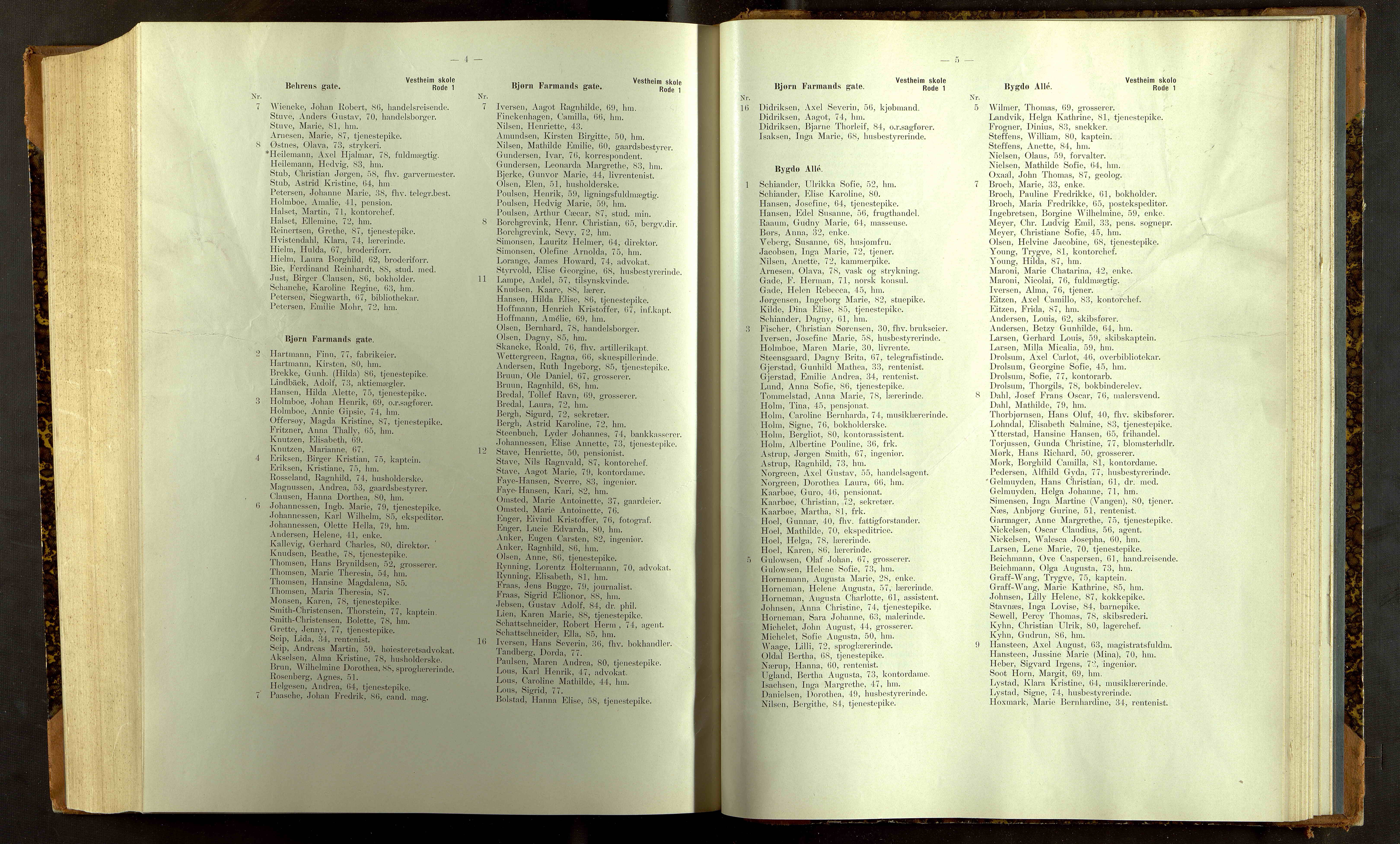Folkeregisteret ( Valgstyret ), OBA/A-20059, 1913, p. 13004-13005