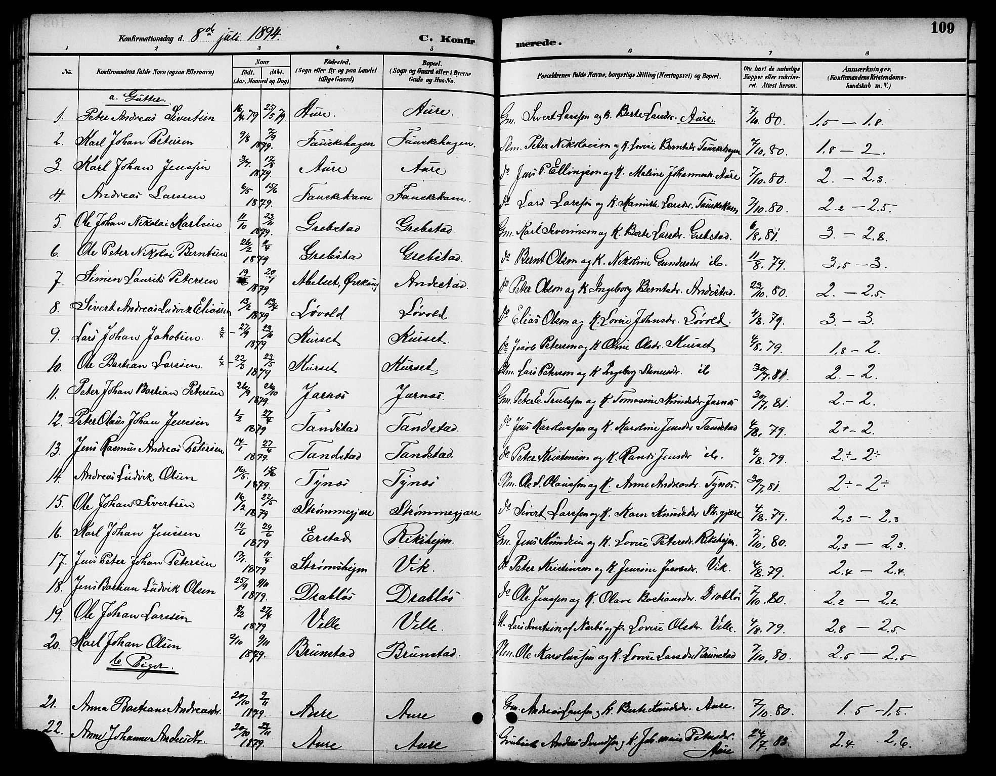 Ministerialprotokoller, klokkerbøker og fødselsregistre - Møre og Romsdal, AV/SAT-A-1454/523/L0340: Parish register (copy) no. 523C03, 1892-1902, p. 109