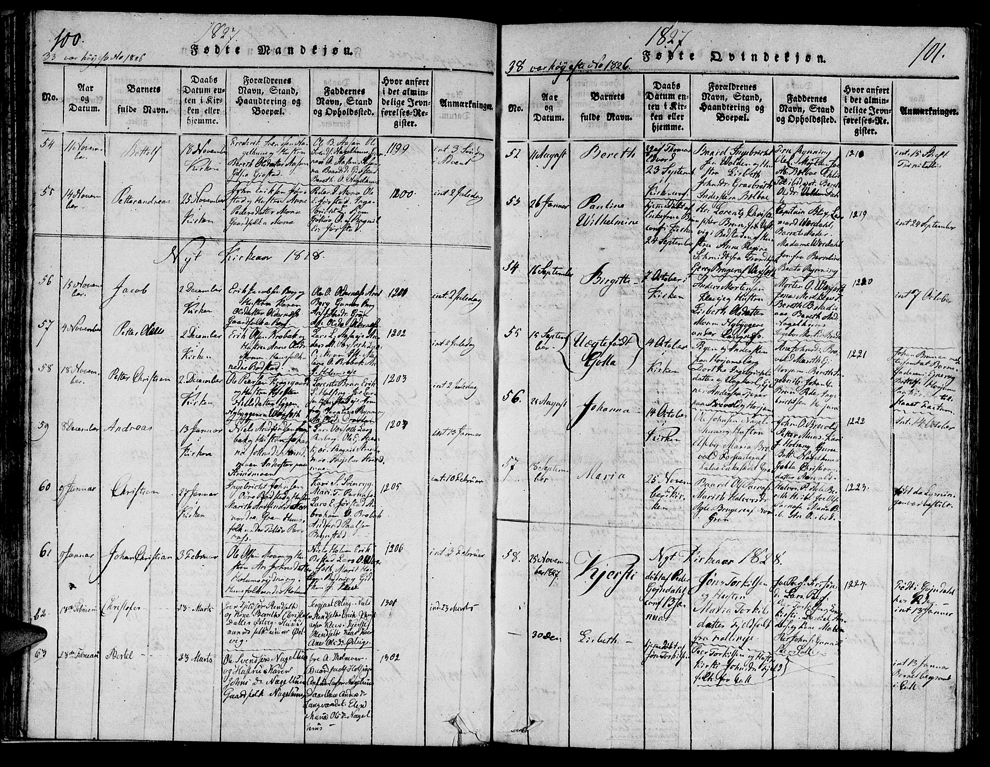 Ministerialprotokoller, klokkerbøker og fødselsregistre - Nord-Trøndelag, AV/SAT-A-1458/749/L0479: Parish register (copy) no. 749C01, 1817-1829, p. 100-101