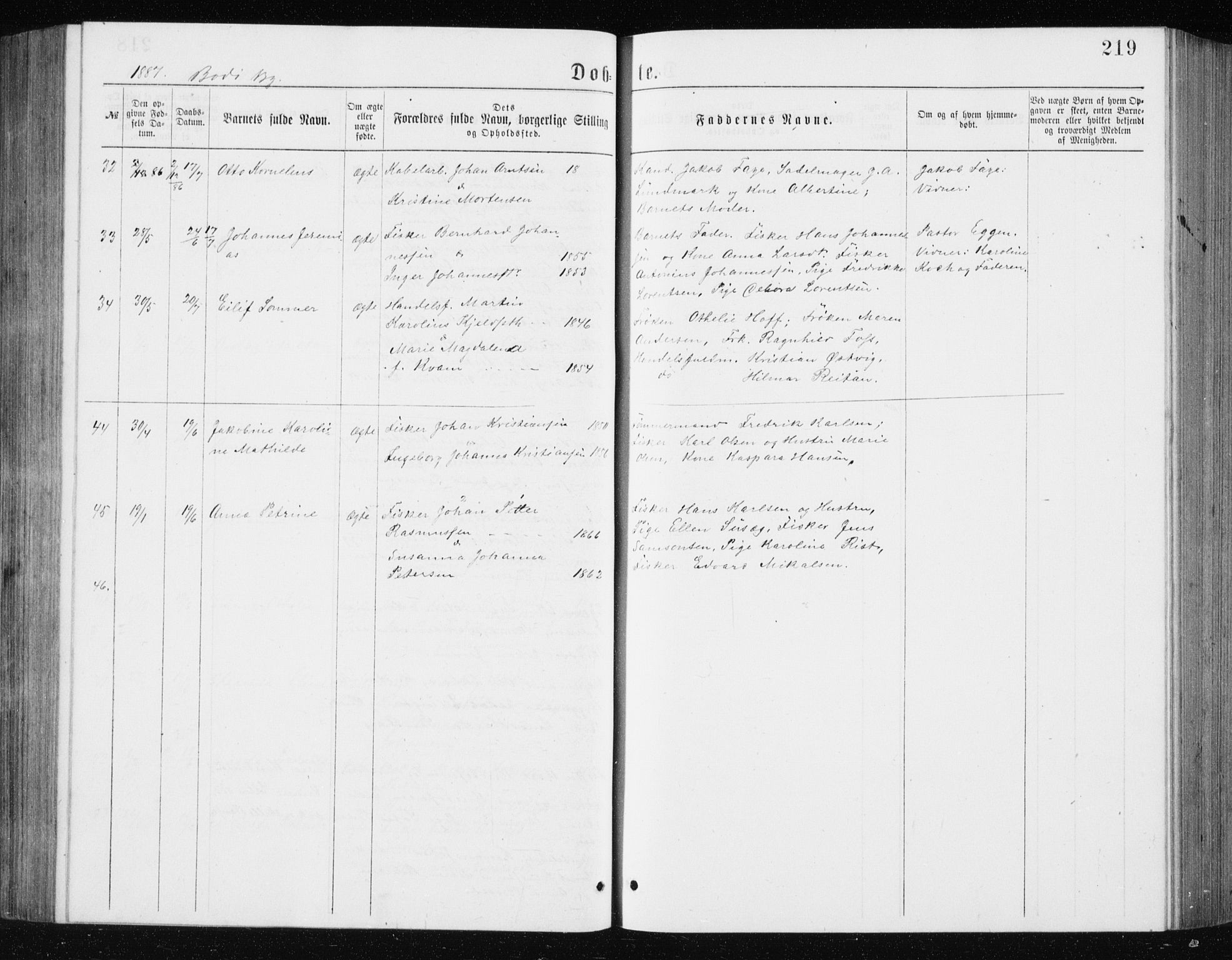 Ministerialprotokoller, klokkerbøker og fødselsregistre - Nordland, AV/SAT-A-1459/801/L0031: Parish register (copy) no. 801C06, 1883-1887, p. 219