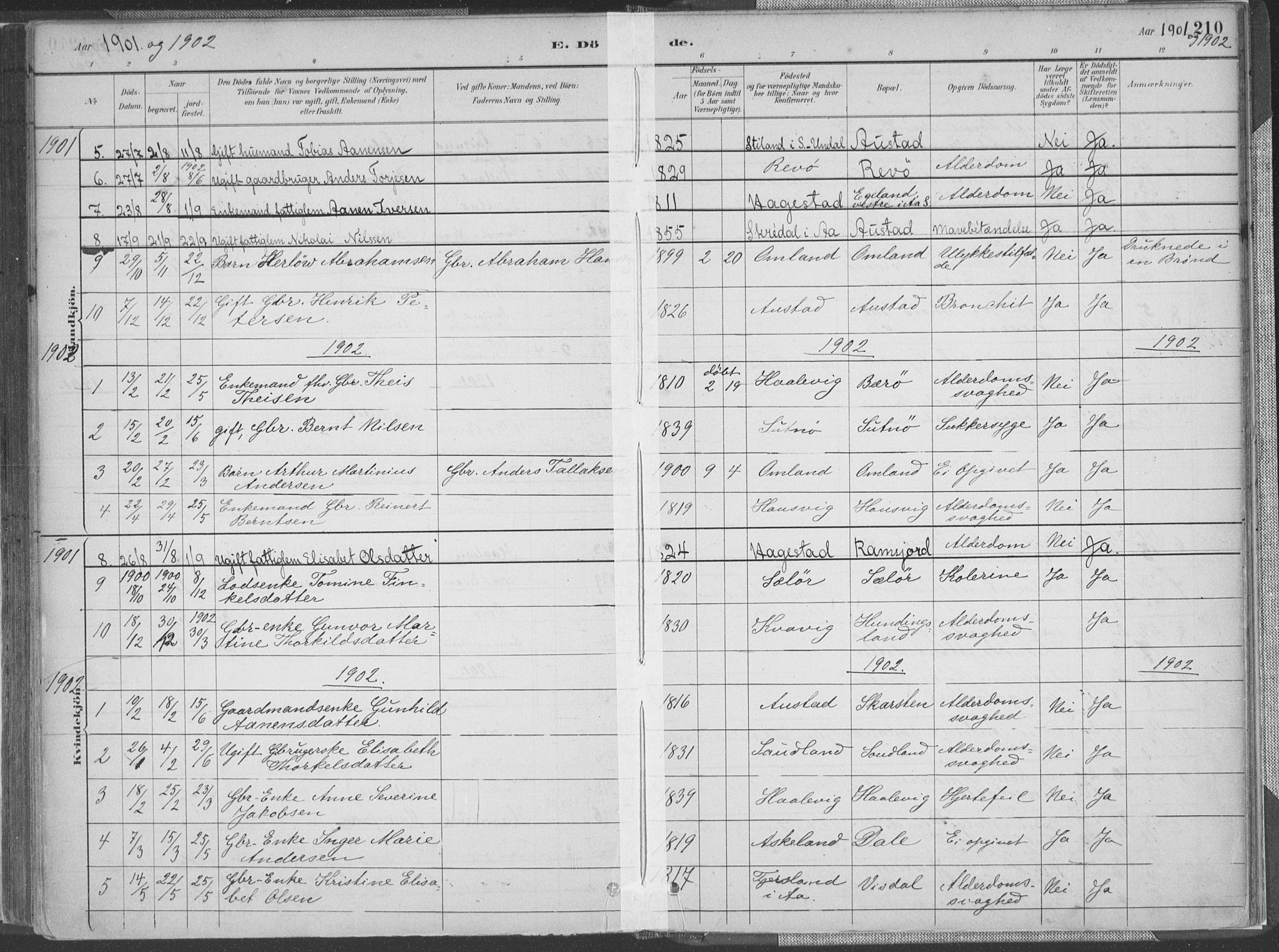 Lyngdal sokneprestkontor, SAK/1111-0029/F/Fa/Faa/L0004: Parish register (official) no. A 4, 1883-1904, p. 210