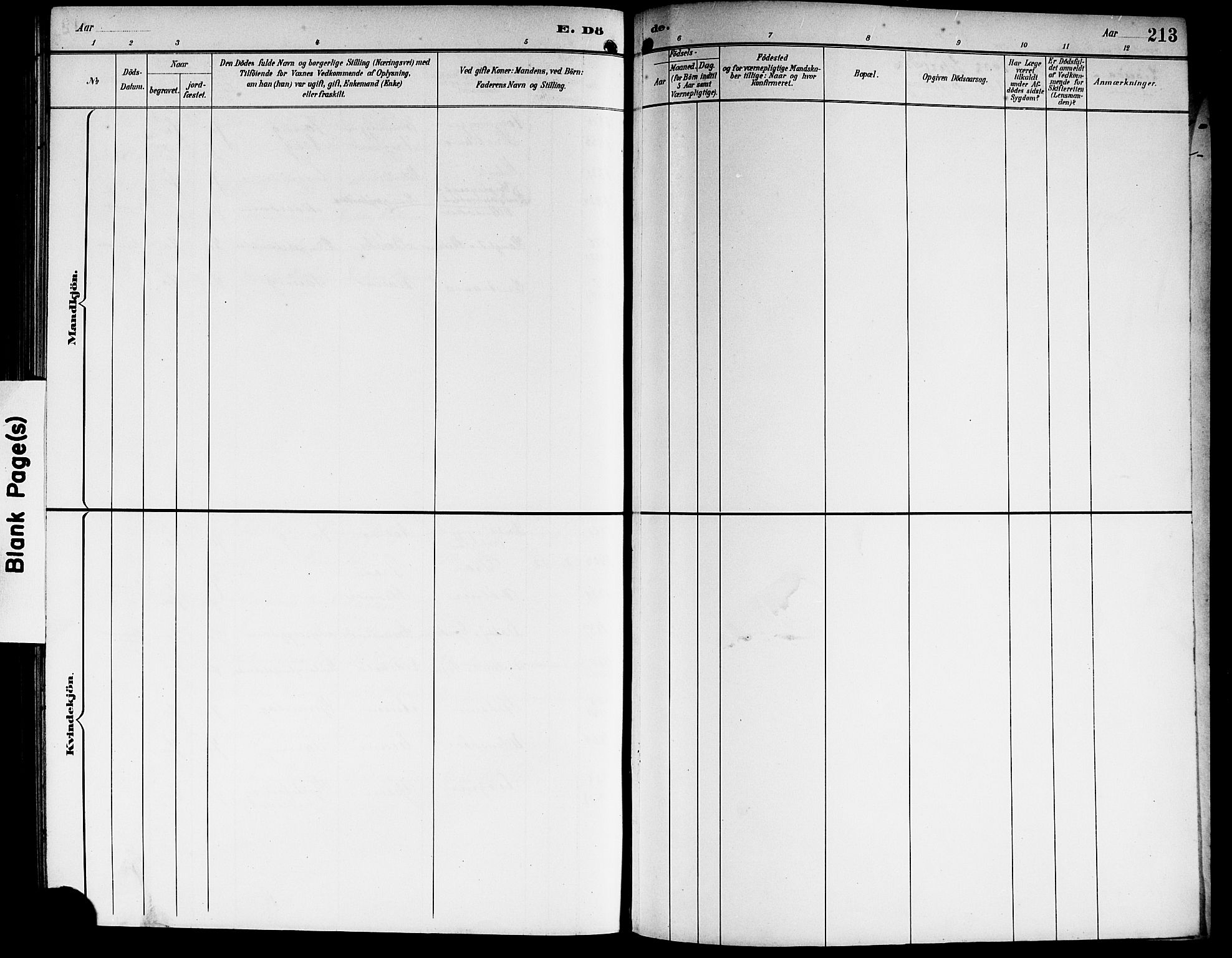 Sørum prestekontor Kirkebøker, AV/SAO-A-10303/G/Ga/L0006: Parish register (copy) no. I 6, 1894-1906, p. 213