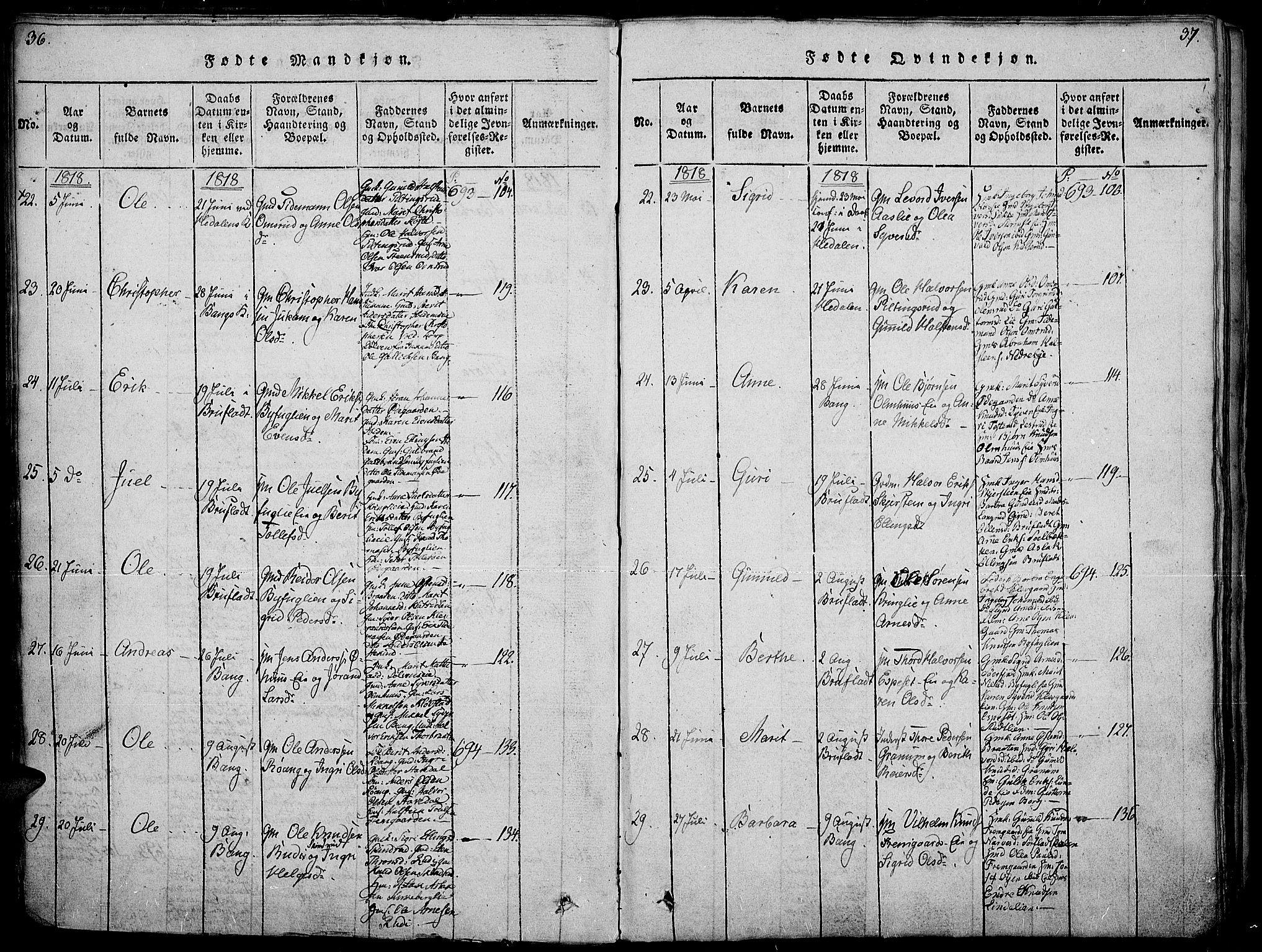 Sør-Aurdal prestekontor, SAH/PREST-128/H/Ha/Haa/L0002: Parish register (official) no. 2, 1815-1840, p. 36-37