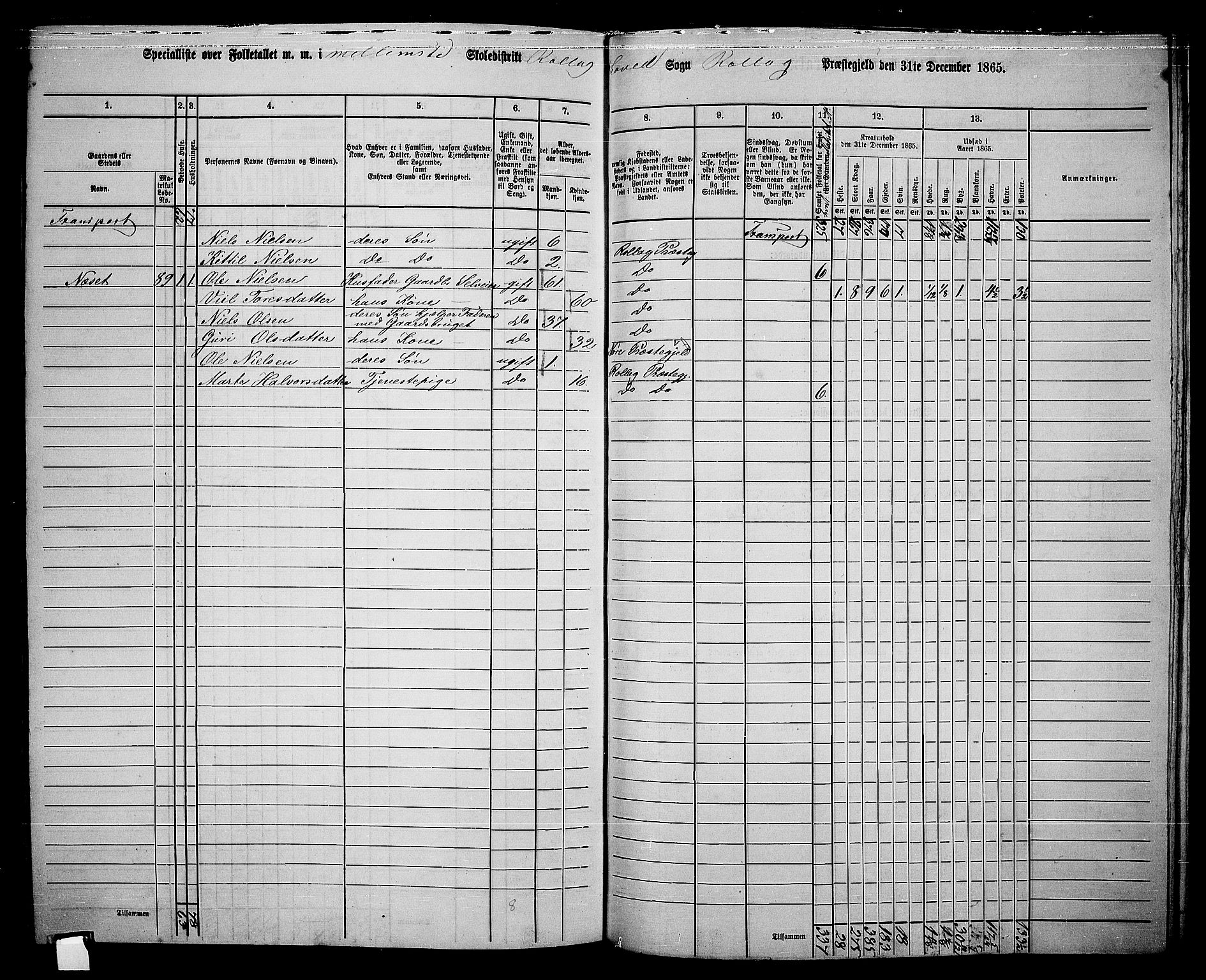 RA, 1865 census for Rollag, 1865, p. 37