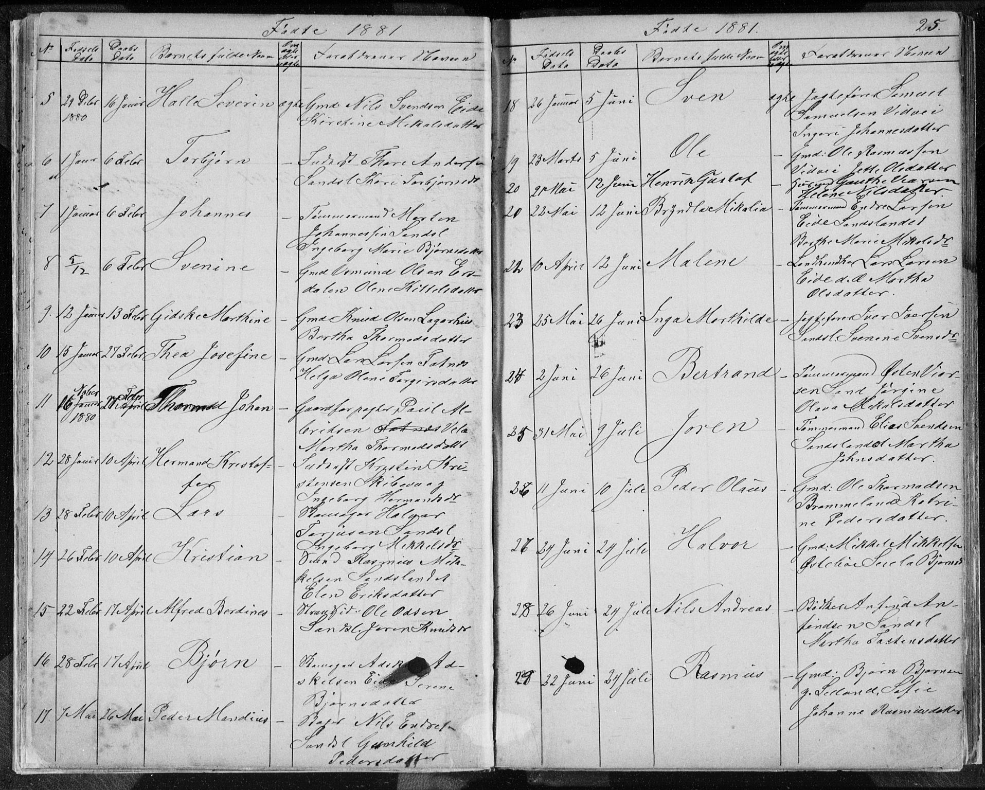 Sand sokneprestkontor, AV/SAST-A-101848/01/IV/L0003: Parish register (copy) no. B 3, 1872-1935, p. 25