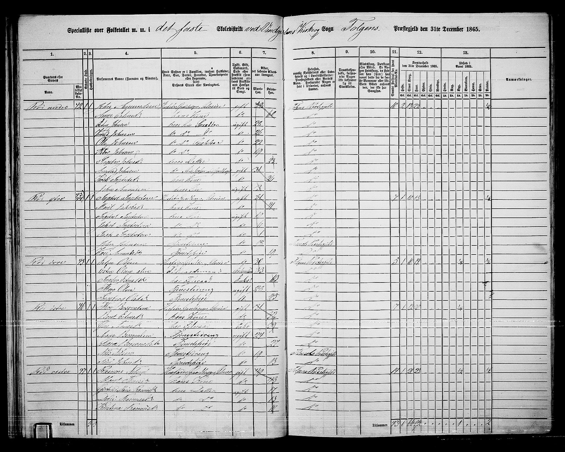 RA, 1865 census for Tolga, 1865, p. 30