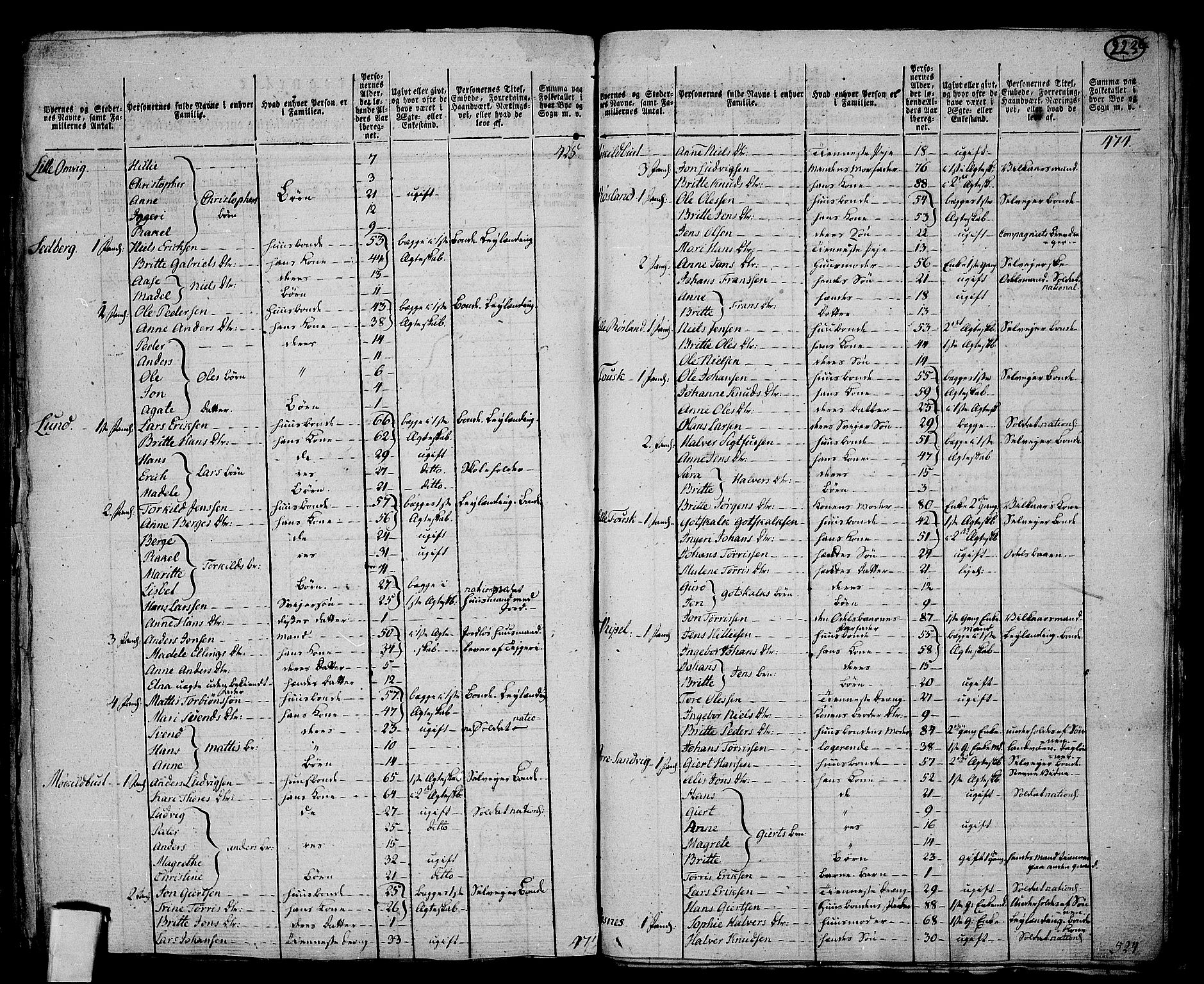 RA, 1801 census for 1224P Kvinnherad, 1801, p. 222b-223a