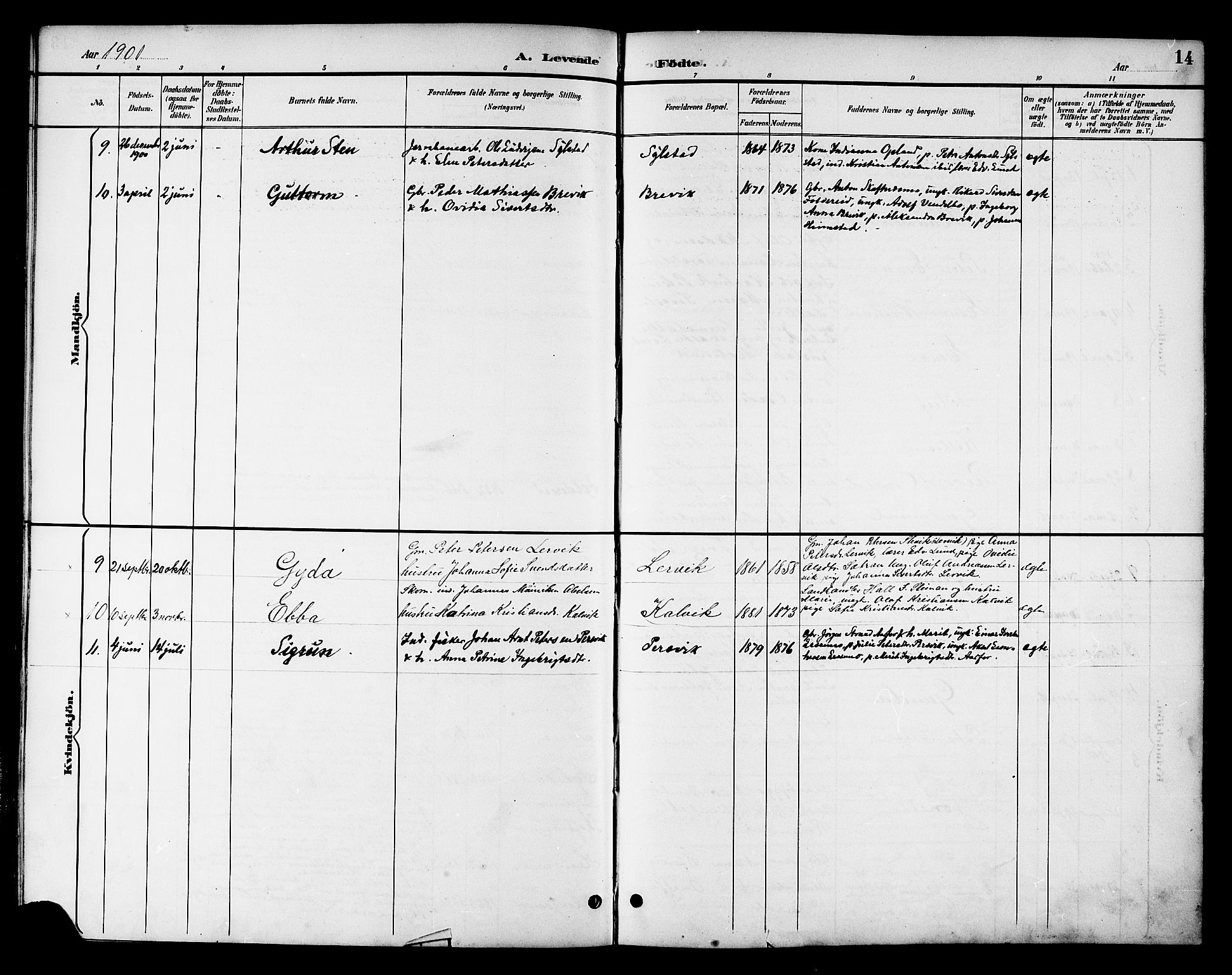 Ministerialprotokoller, klokkerbøker og fødselsregistre - Nord-Trøndelag, AV/SAT-A-1458/783/L0662: Parish register (copy) no. 783C02, 1894-1919, p. 14