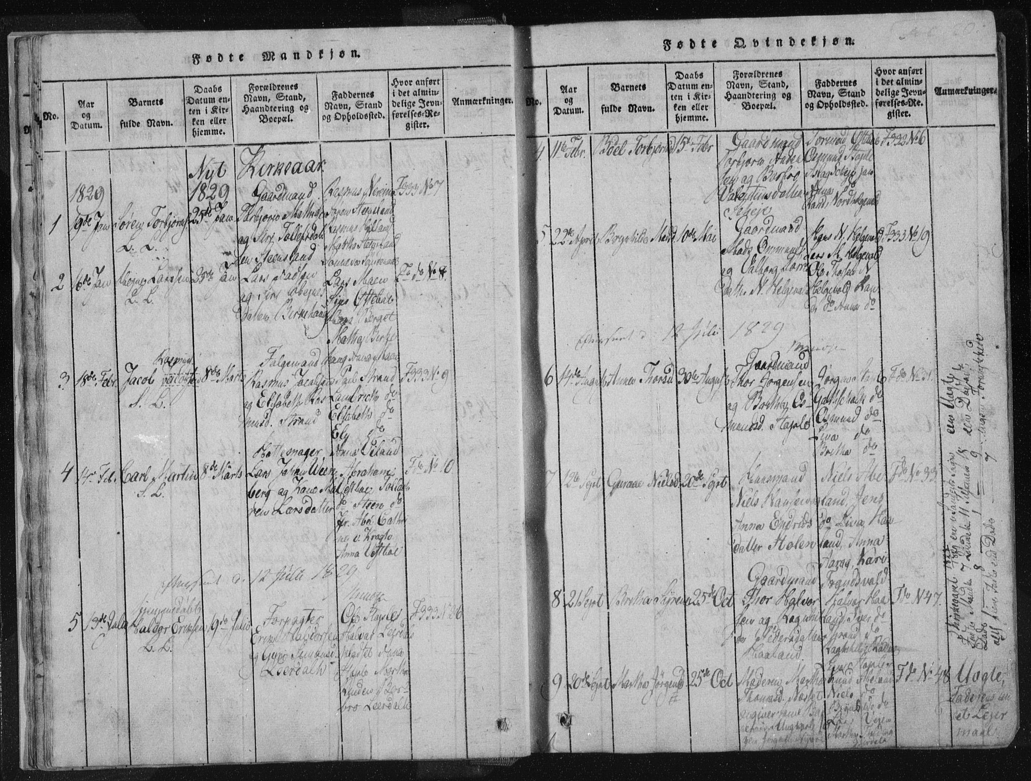 Vikedal sokneprestkontor, AV/SAST-A-101840/01/IV: Parish register (official) no. A 4, 1816-1850, p. 20