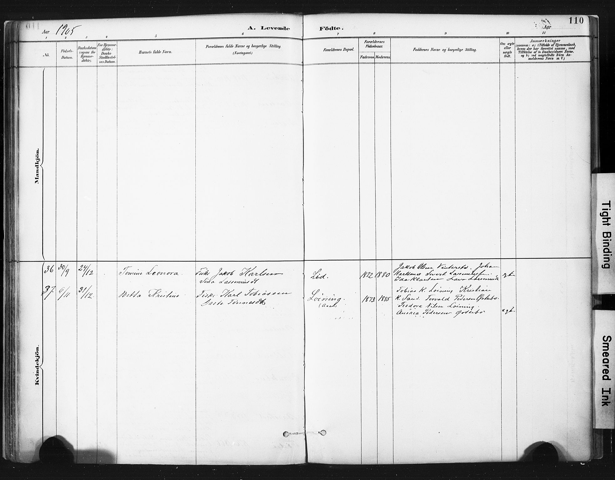 Sokndal sokneprestkontor, AV/SAST-A-101808: Parish register (official) no. A 11.1, 1887-1905, p. 110