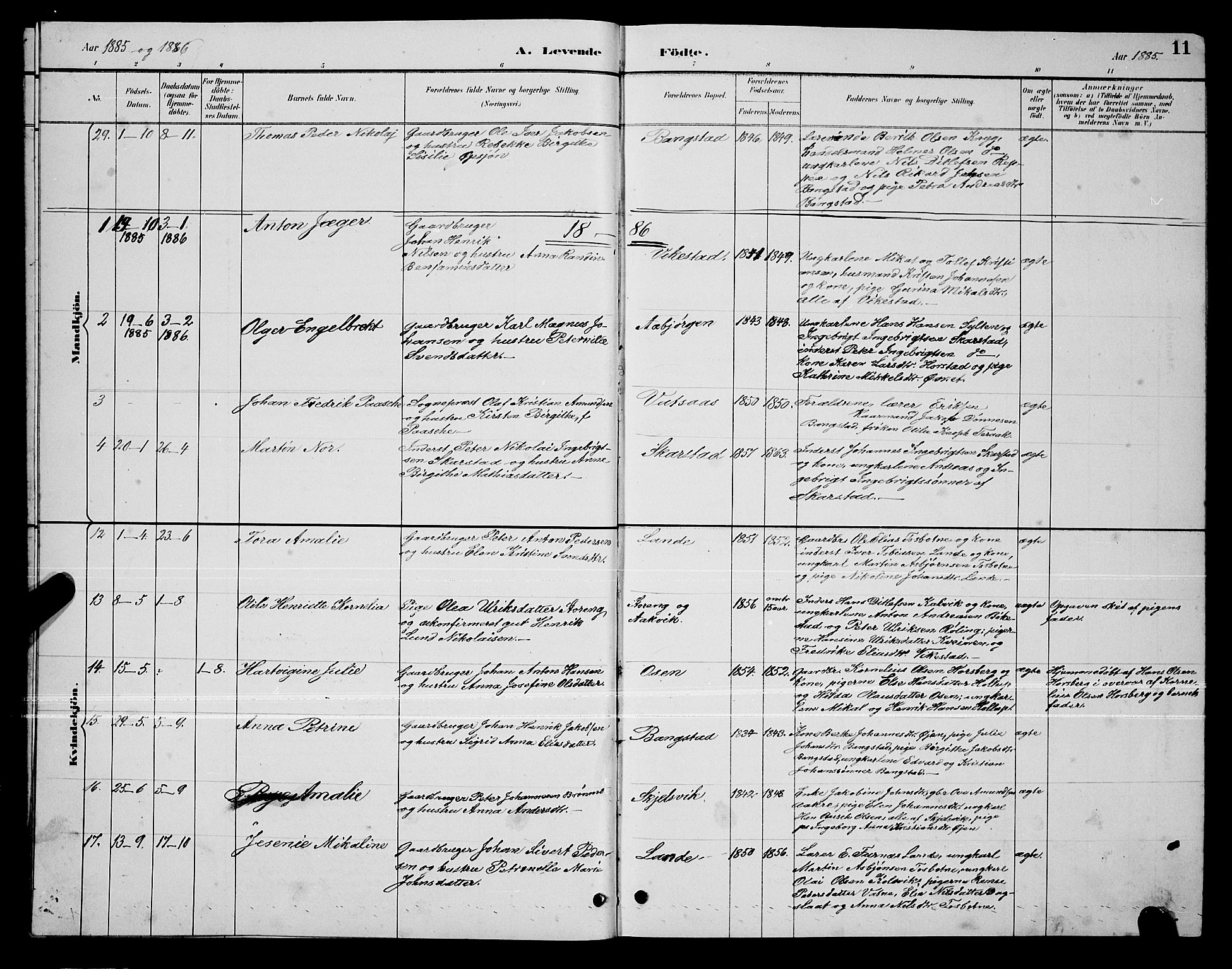 Ministerialprotokoller, klokkerbøker og fødselsregistre - Nordland, SAT/A-1459/810/L0160: Parish register (copy) no. 810C03, 1884-1896, p. 11