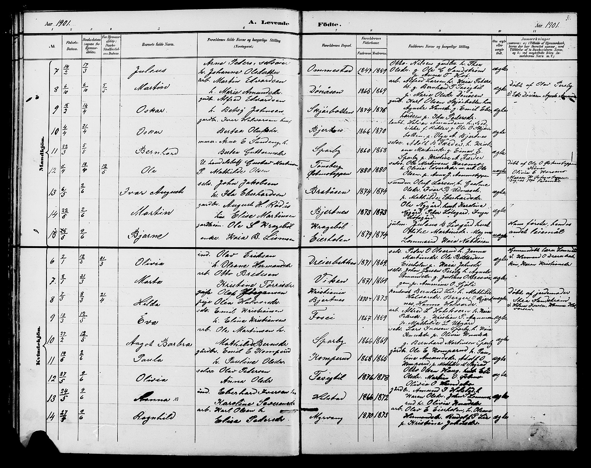 Hof prestekontor, SAH/PREST-038/H/Ha/Hab/L0001: Parish register (copy) no. 1, 1895-1914, p. 31